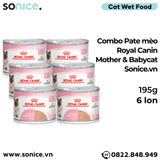  Combo Pate mèo Royal Canin Mother & Babycat 195g - 6 lon SONICE. 