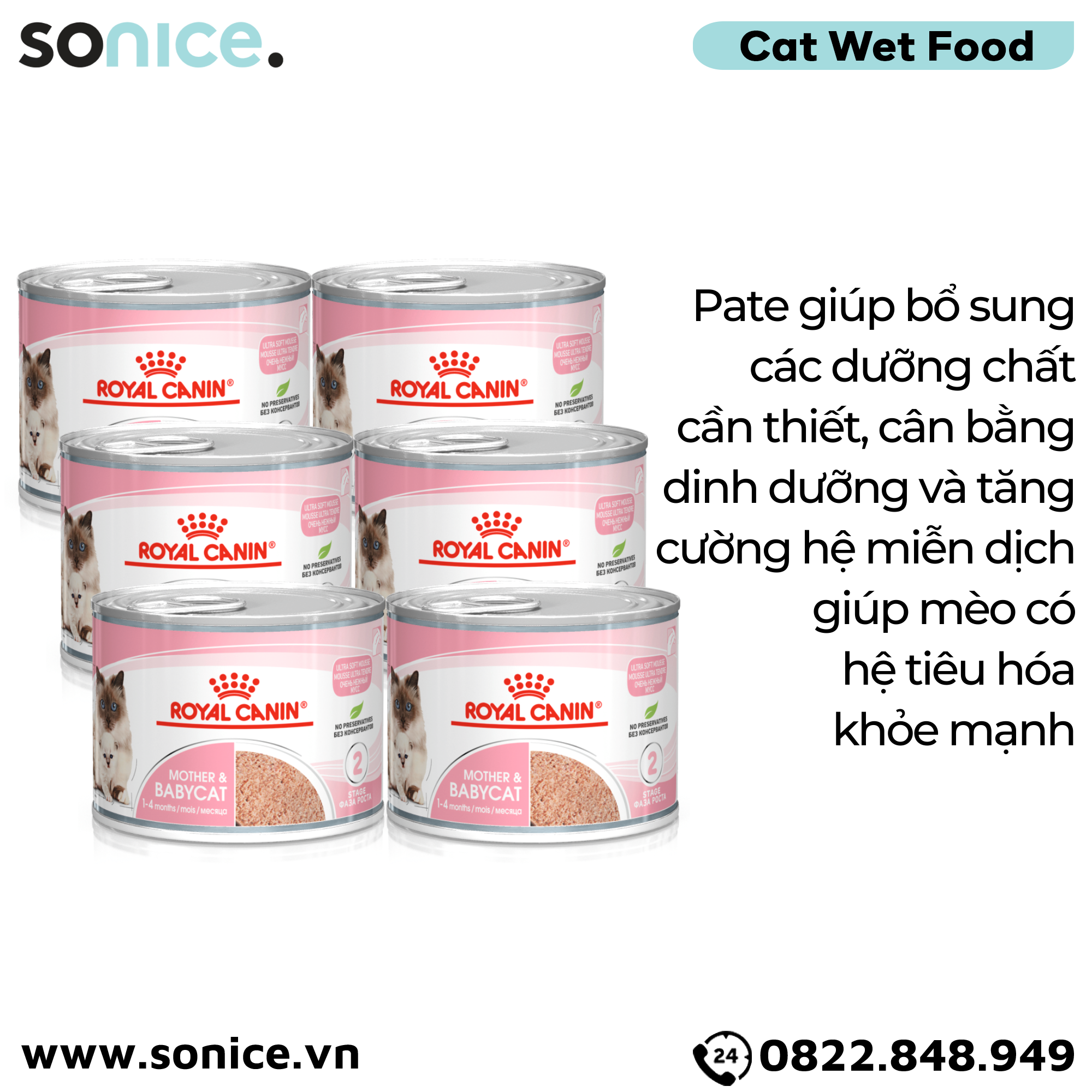 Combo Pate mèo Royal Canin Mother & Babycat 195g - 6 lon SONICE.
