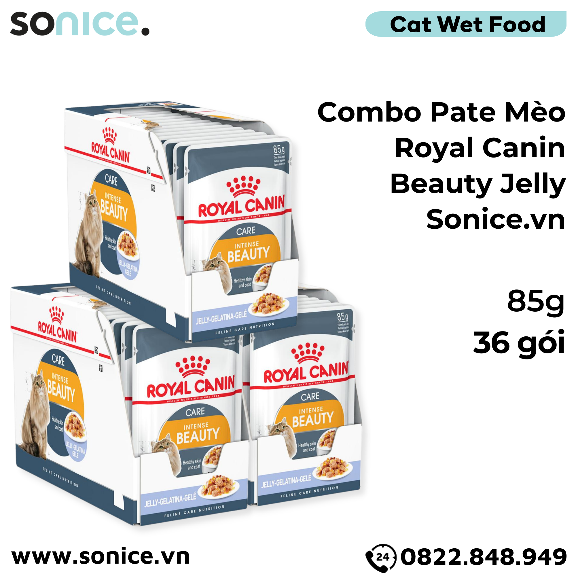 Combo Pate mèo Royal Canin Beauty Jelly 85g - 36 gói SONICE.