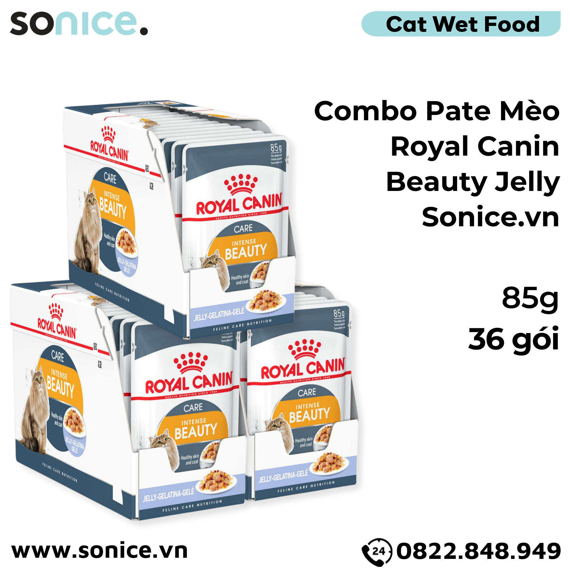  Combo Pate mèo Royal Canin Beauty Jelly 85g - 36 gói SONICE. 