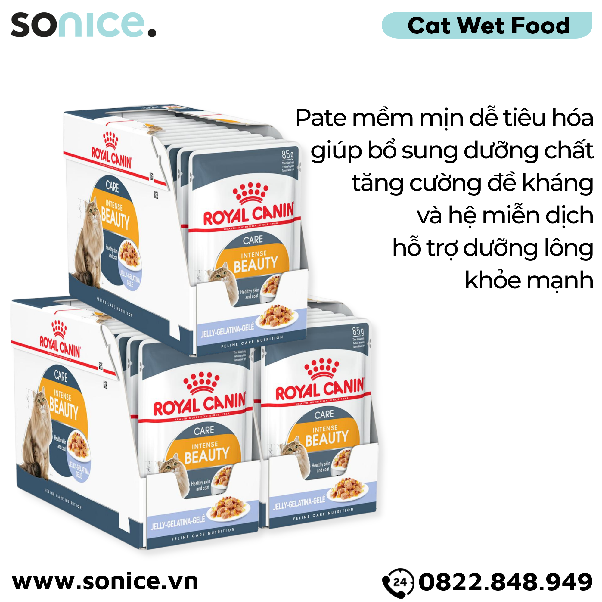 Combo Pate mèo Royal Canin Beauty Jelly 85g - 36 gói SONICE.