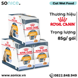  Combo Pate mèo Royal Canin Beauty Jelly 85g - 36 gói SONICE. 