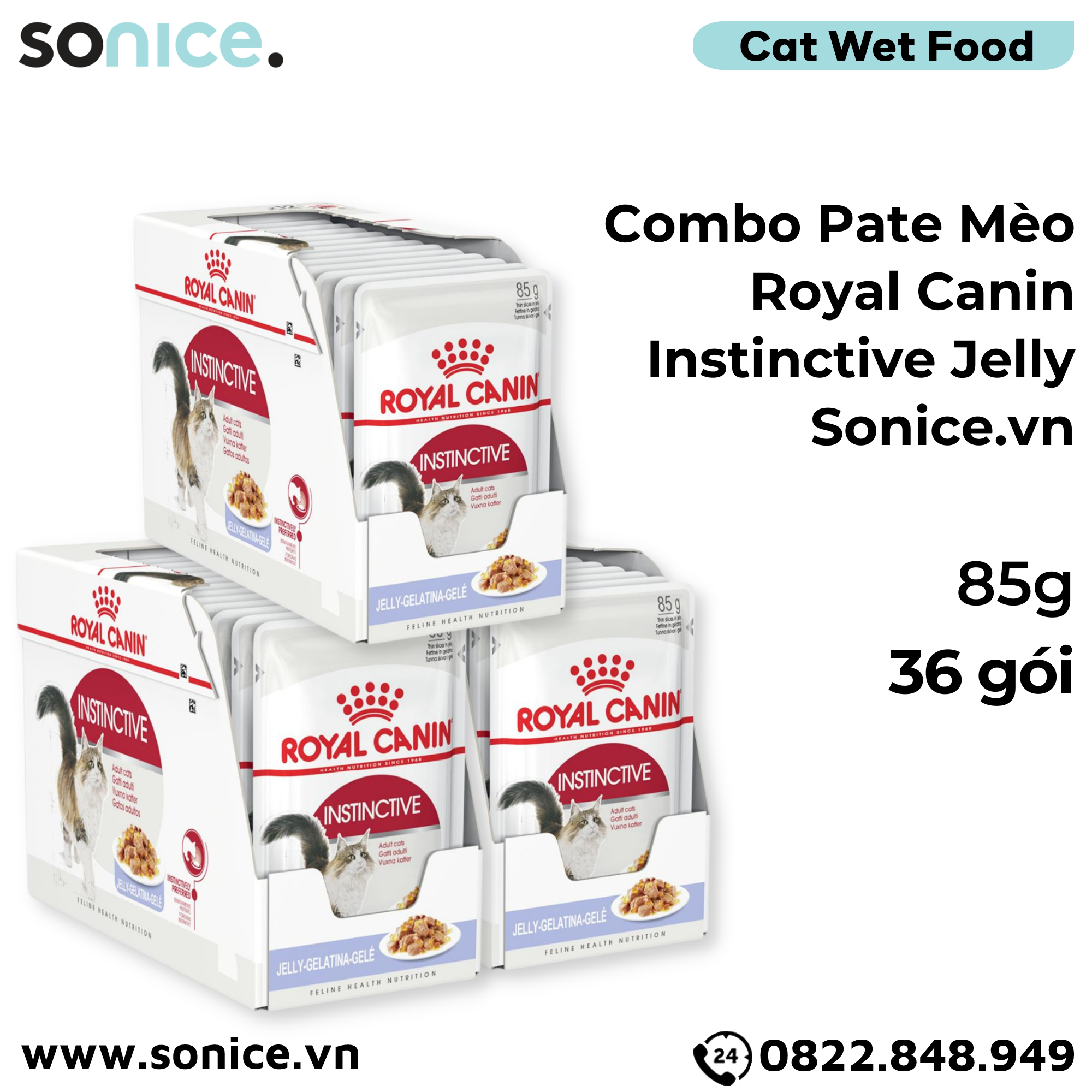 Combo Pate mèo Royal Canin Instinctive Jelly 85g - 36 gói SONICE.