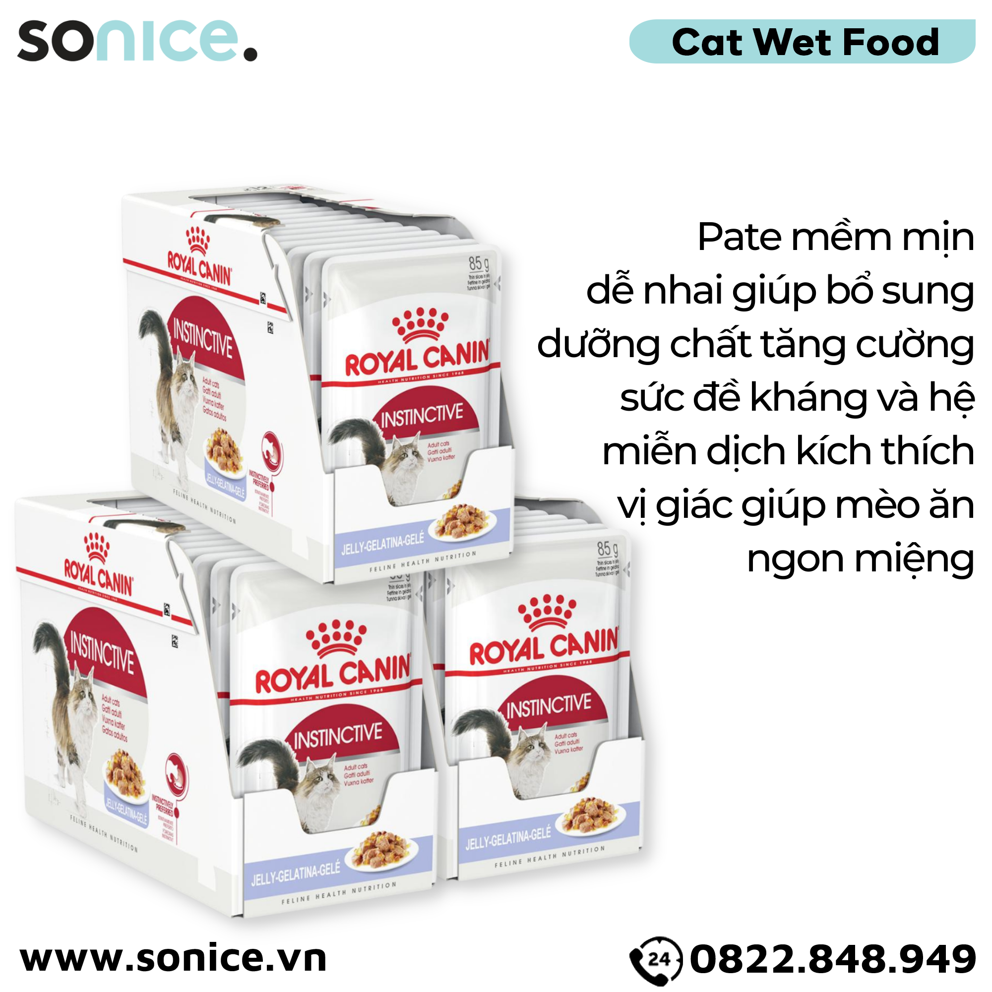 Combo Pate mèo Royal Canin Instinctive Jelly 85g - 36 gói SONICE.