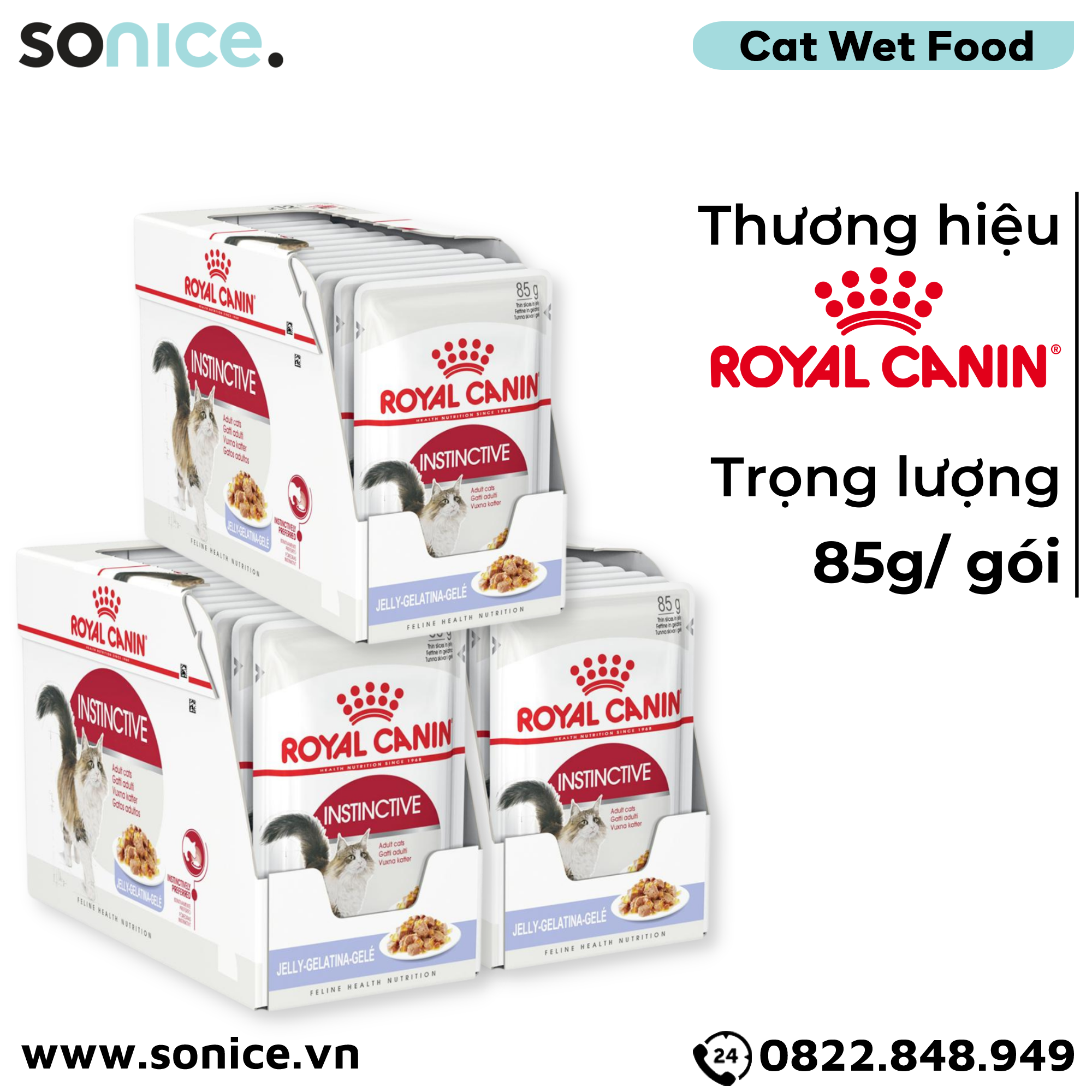 Combo Pate mèo Royal Canin Instinctive Jelly 85g - 36 gói SONICE.