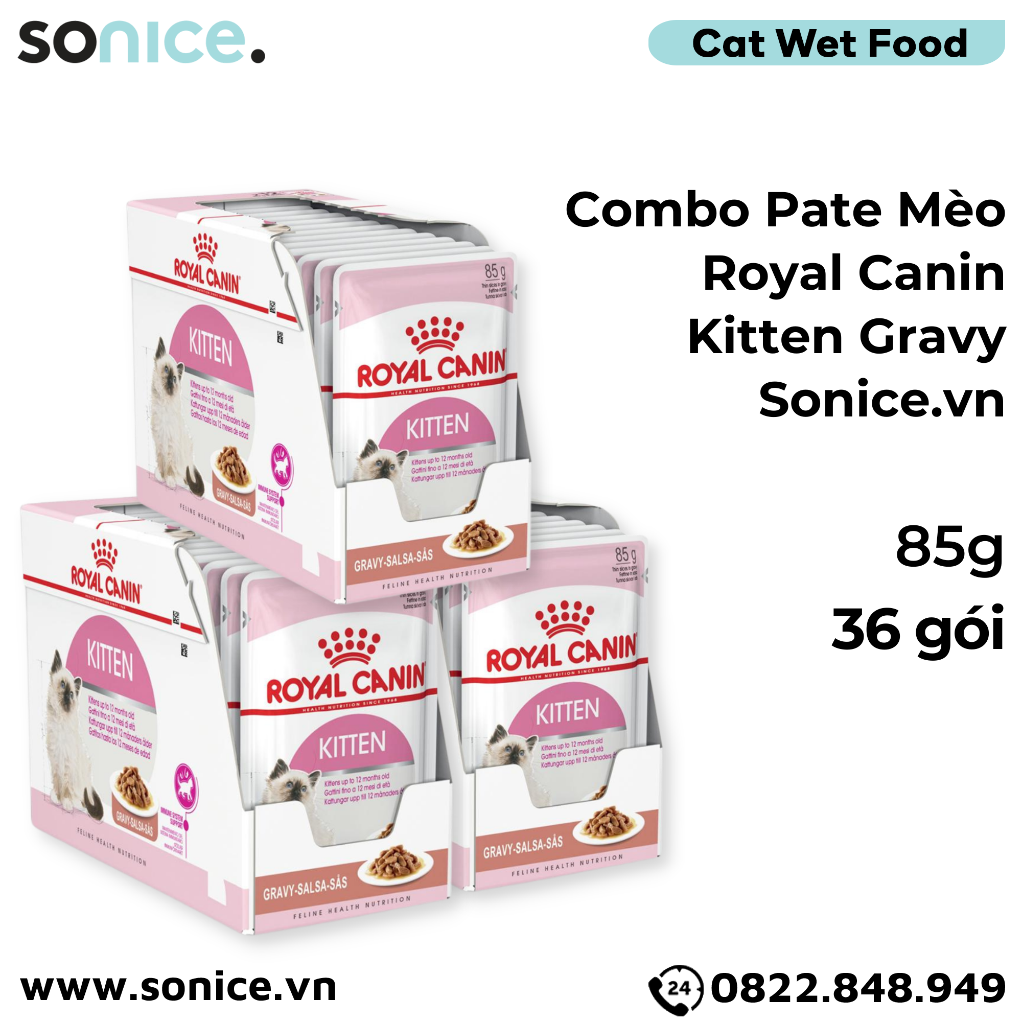 Combo Pate mèo Royal Canin Kitten Gravy 85g - 36 gói SONICE.