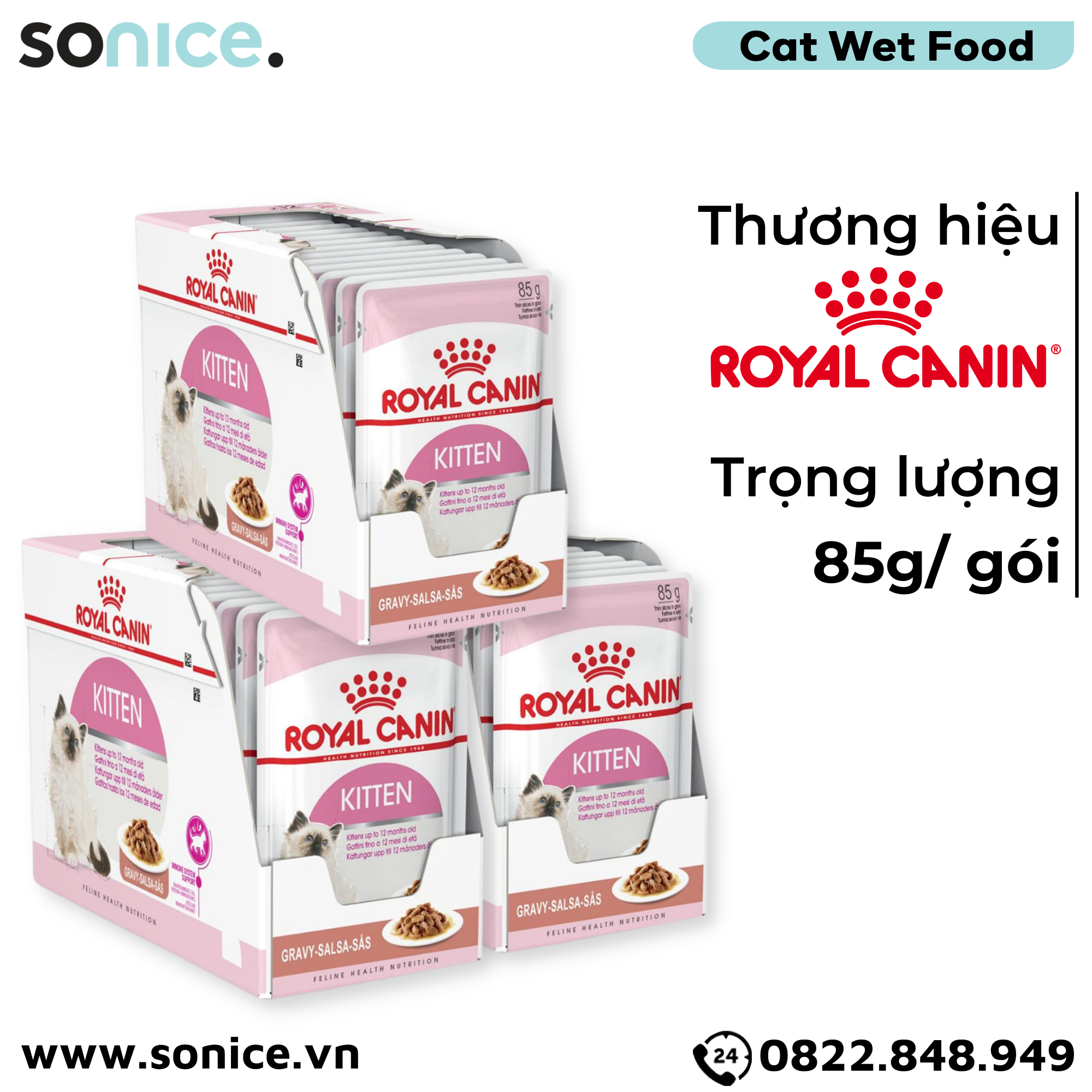 Combo Pate mèo Royal Canin Kitten Gravy 85g - 36 gói SONICE.