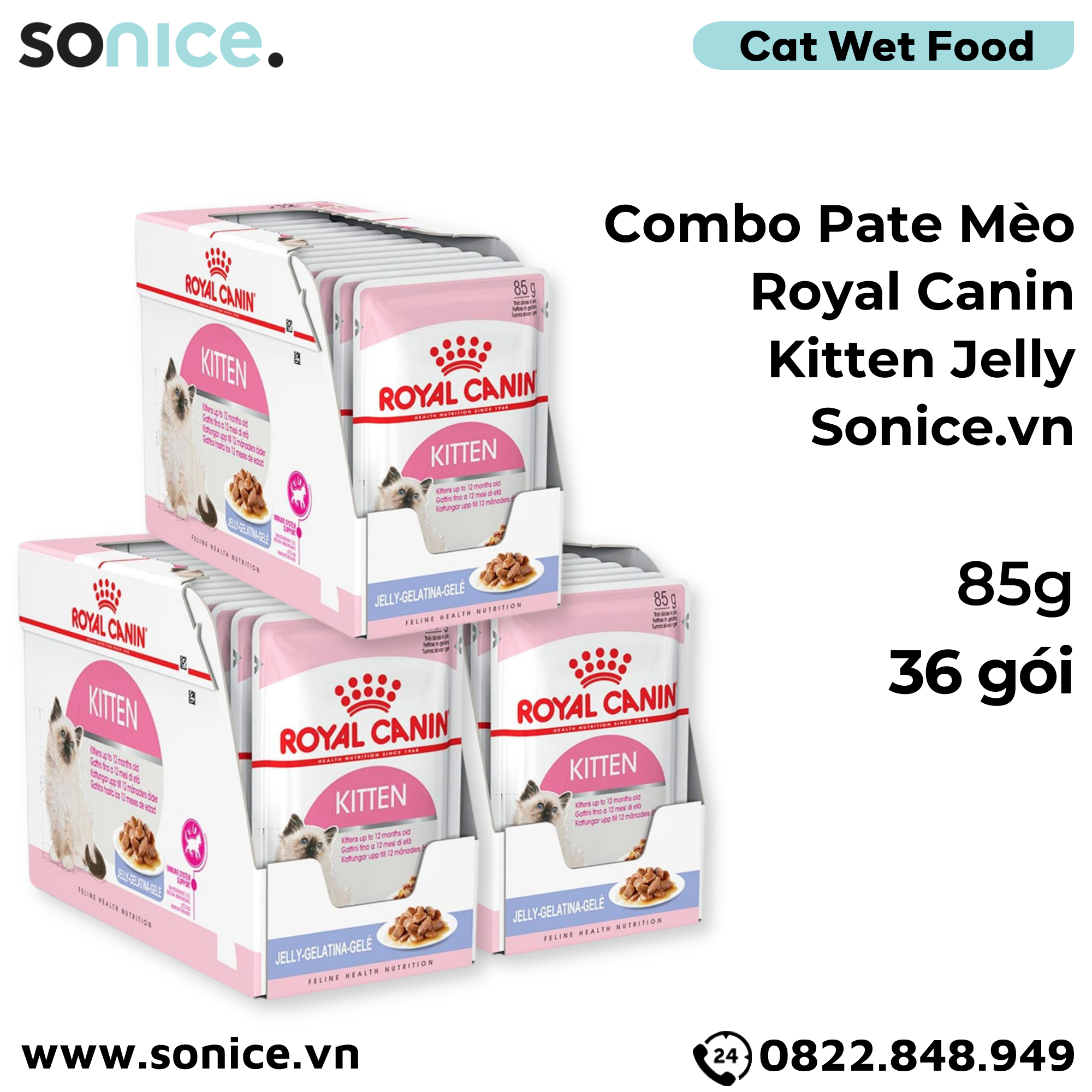 Combo Pate mèo Royal Canin Kitten Jelly 85g - 36 gói SONICE.