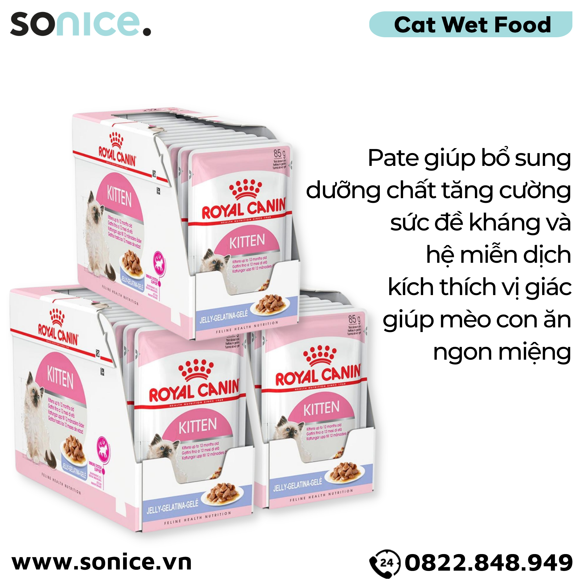 Combo Pate mèo Royal Canin Kitten Jelly 85g - 36 gói SONICE.