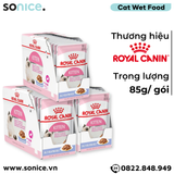  Combo Pate mèo Royal Canin Kitten Jelly 85g - 36 gói SONICE. 