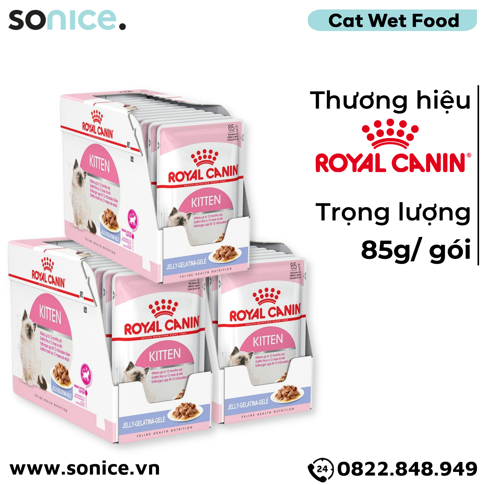 Combo Pate mèo Royal Canin Kitten Jelly 85g - 36 gói SONICE.