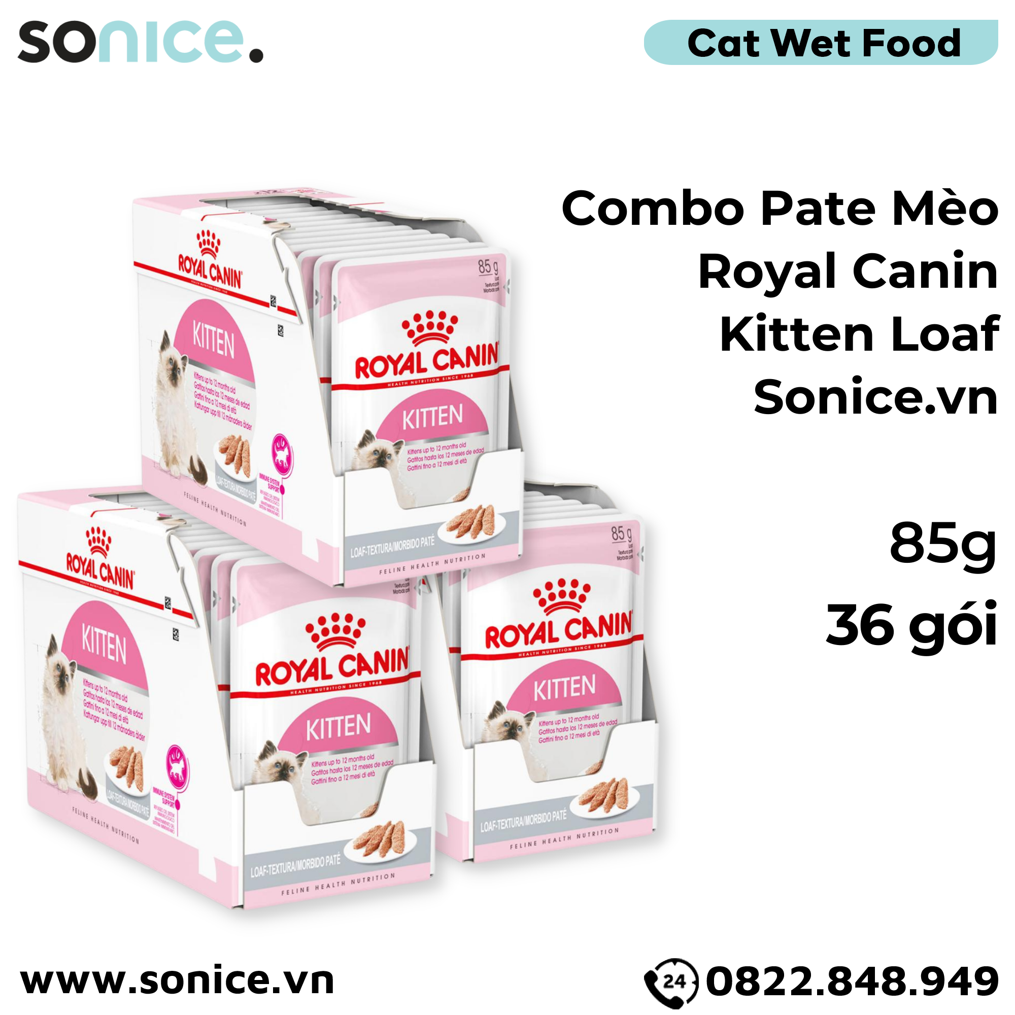 Combo Pate mèo Royal Canin Kitten Loaf 85g - 36 gói SONICE.