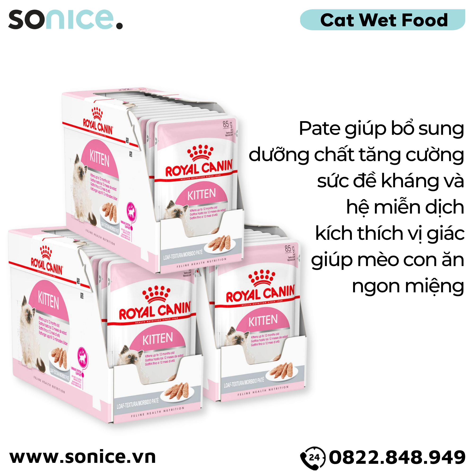 Combo Pate mèo Royal Canin Kitten Loaf 85g - 36 gói SONICE.
