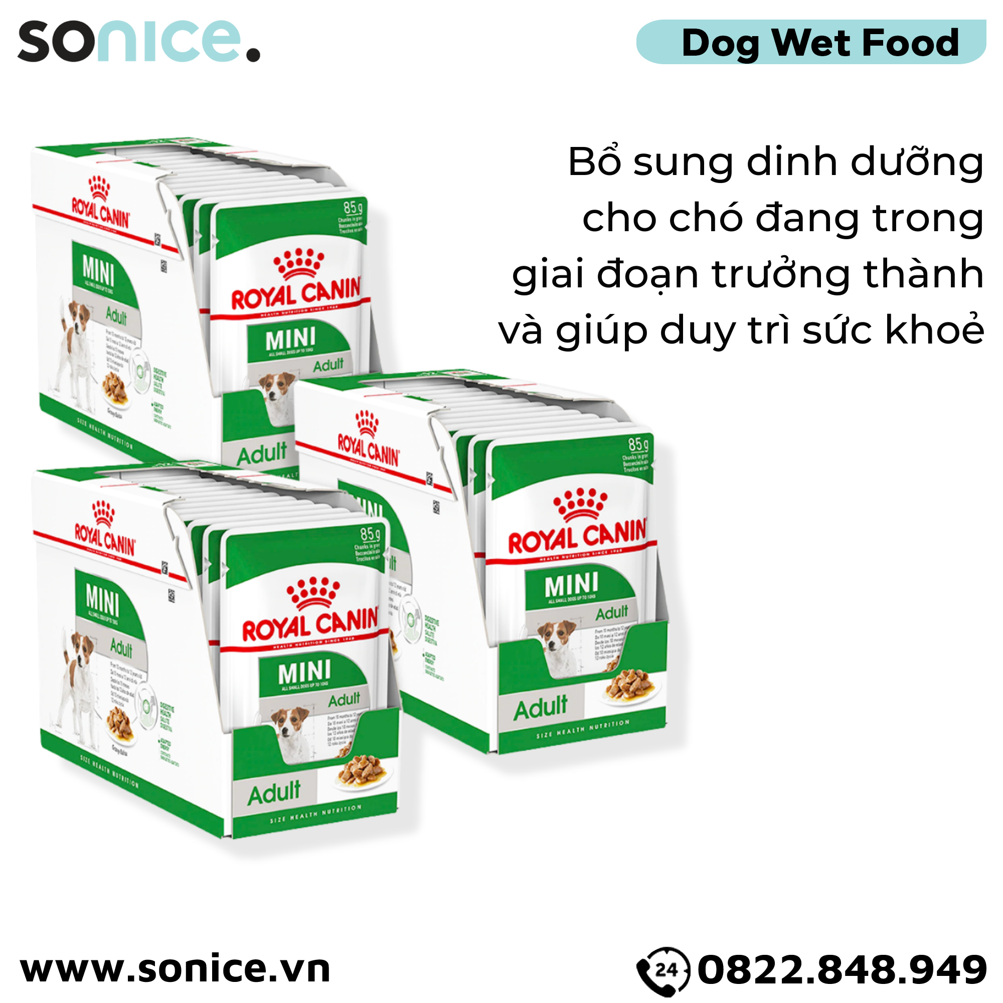 Combo Pate chó Royal Canin Mini Adult Gravy 85g - 36 gói SONICE.
