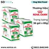  Combo Pate chó Royal Canin Mini Adult Gravy 85g - 36 gói SONICE. 