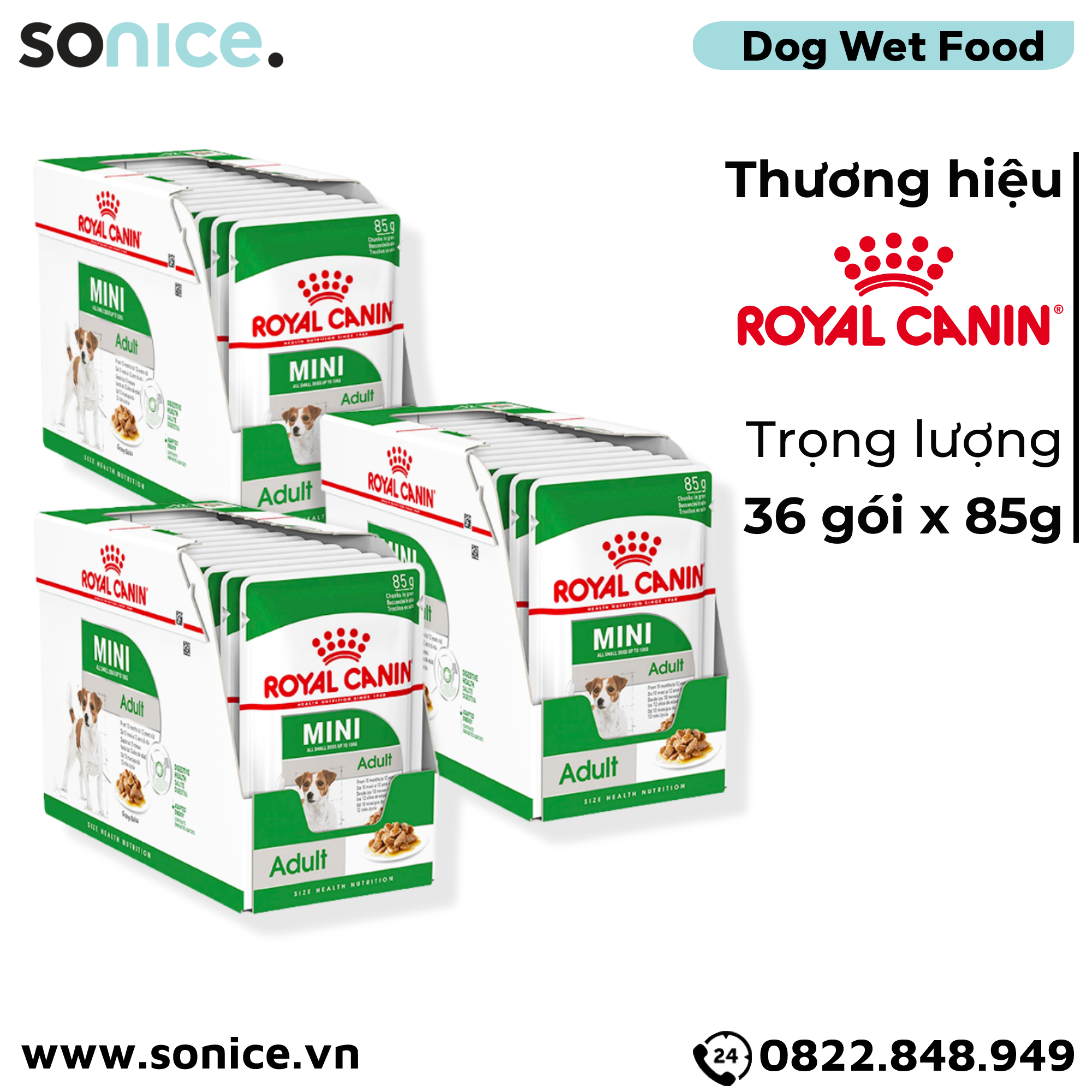 Combo Pate chó Royal Canin Mini Adult Gravy 85g - 36 gói SONICE.