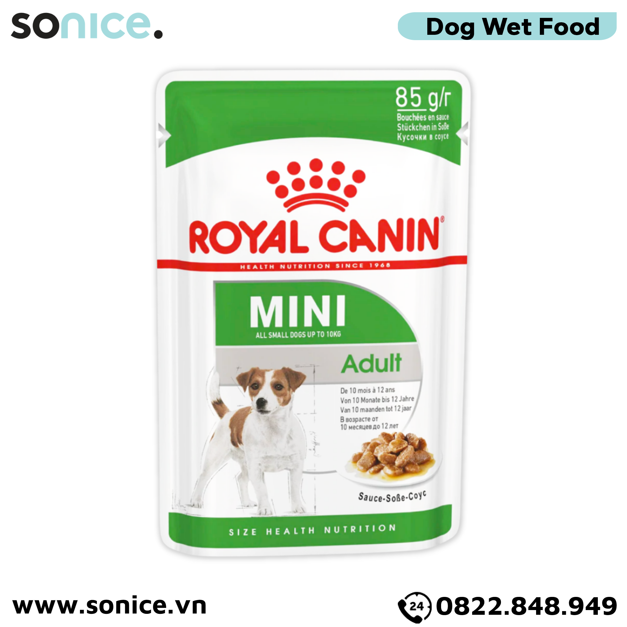 Combo Pate chó Royal Canin Mini Adult Gravy 85g - 36 gói SONICE.