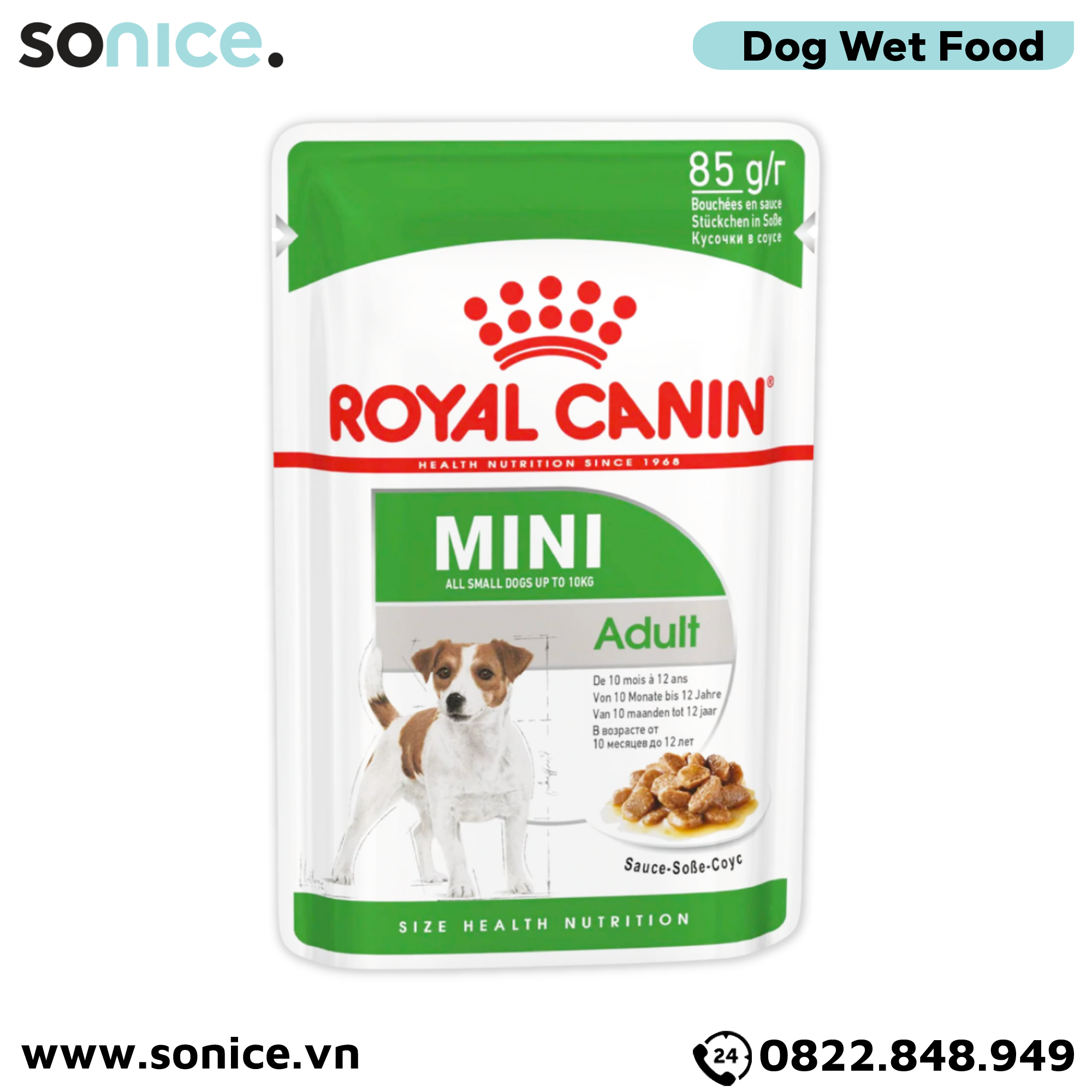  Combo Pate chó Royal Canin Mini Adult Gravy 85g - 36 gói SONICE. 