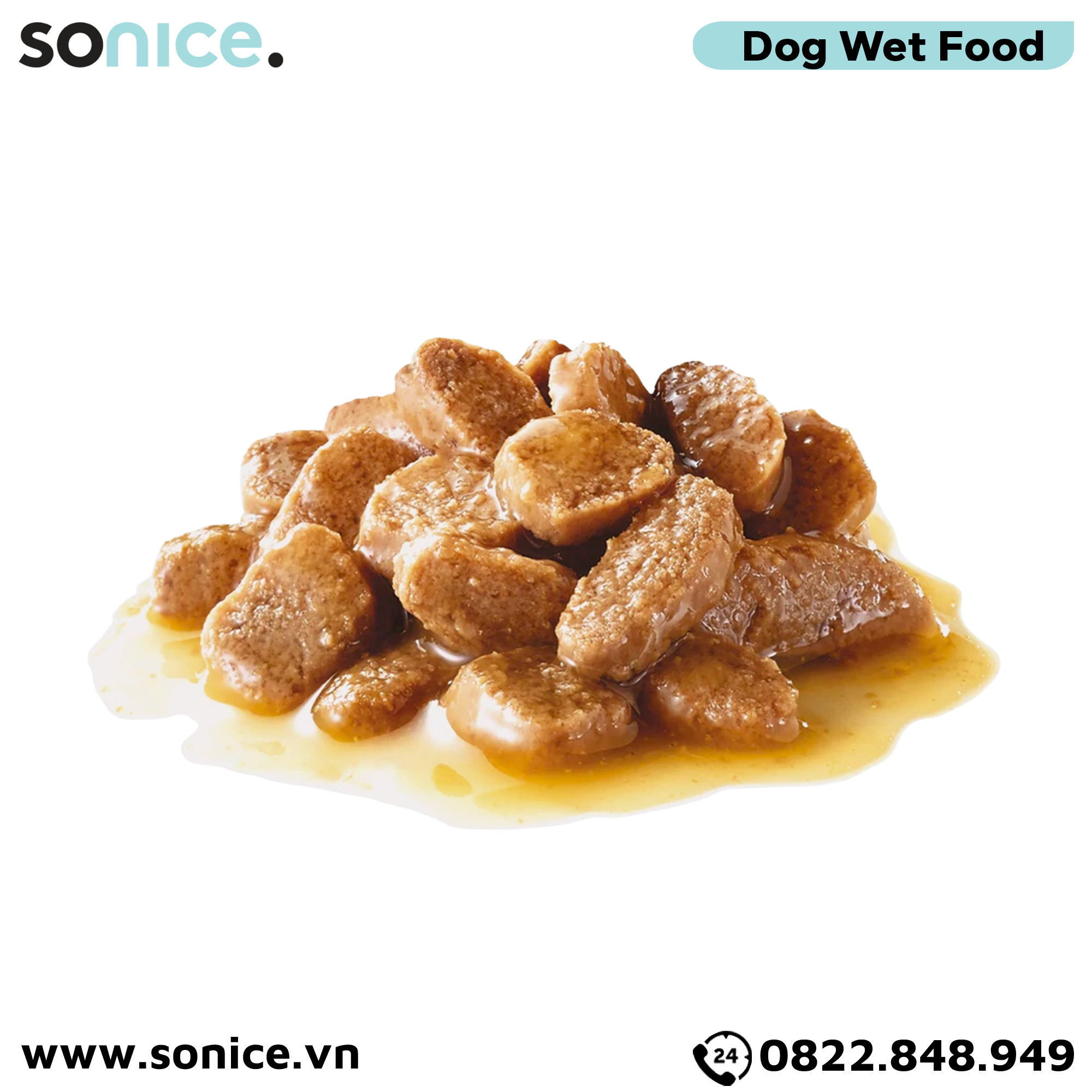 Combo Pate chó Royal Canin Mini Adult Gravy 85g - 36 gói SONICE.