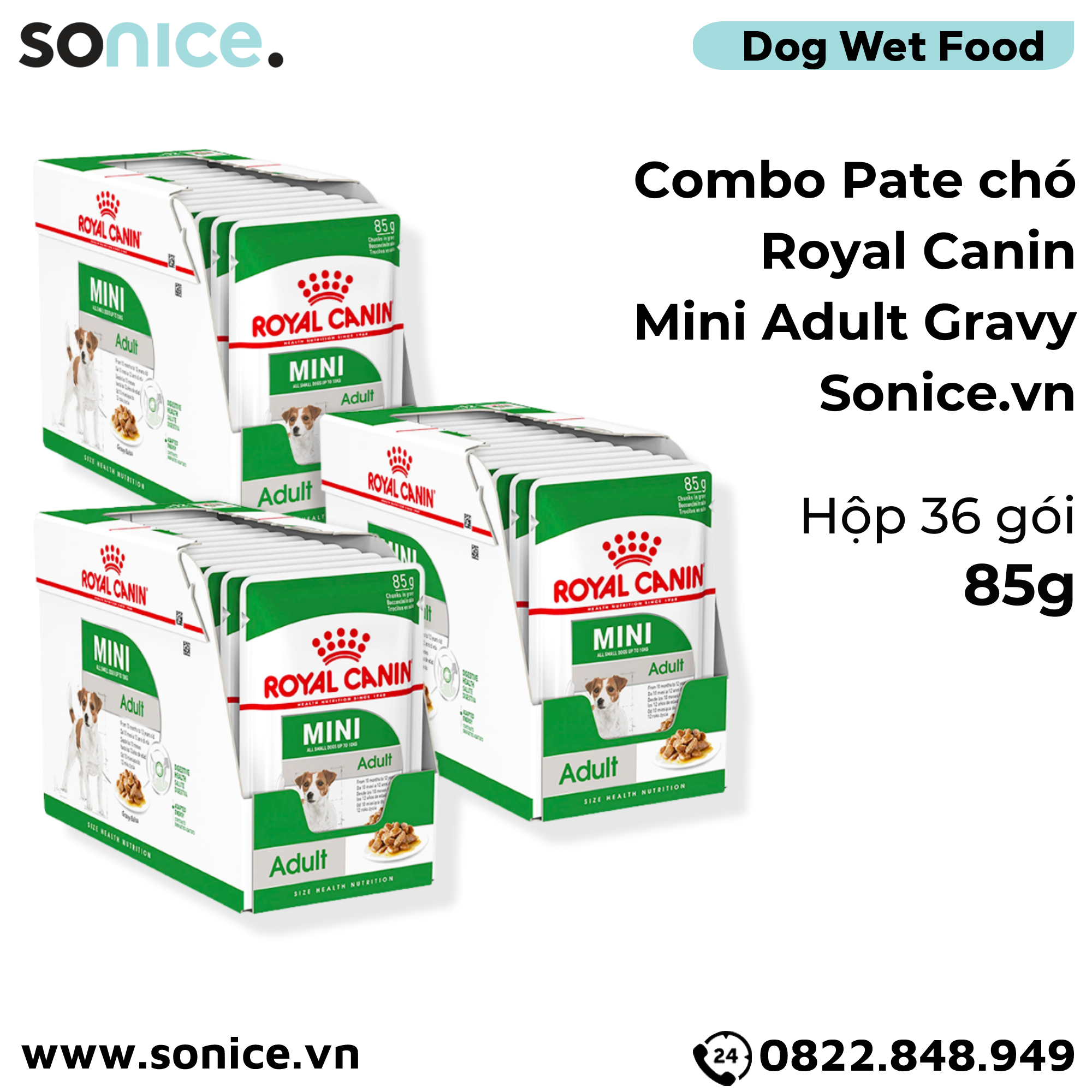  Combo Pate chó Royal Canin Mini Adult Gravy 85g - 36 gói SONICE. 