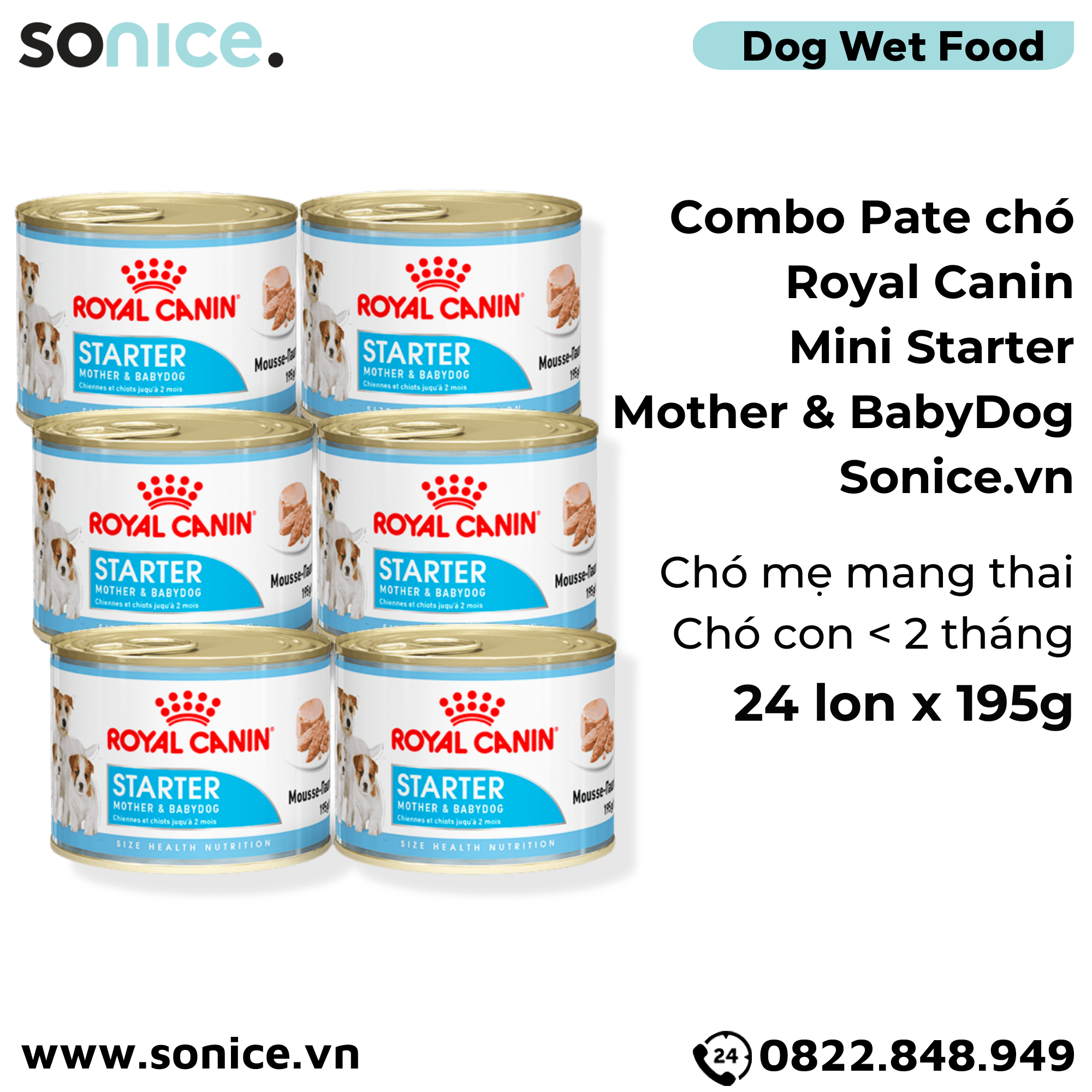  Combo Pate chó Royal Canin Mini Starter Mother & BabyDog 195g - 24 lon - Chó mẹ mang thai & chó con < 2 tháng SONICE. 