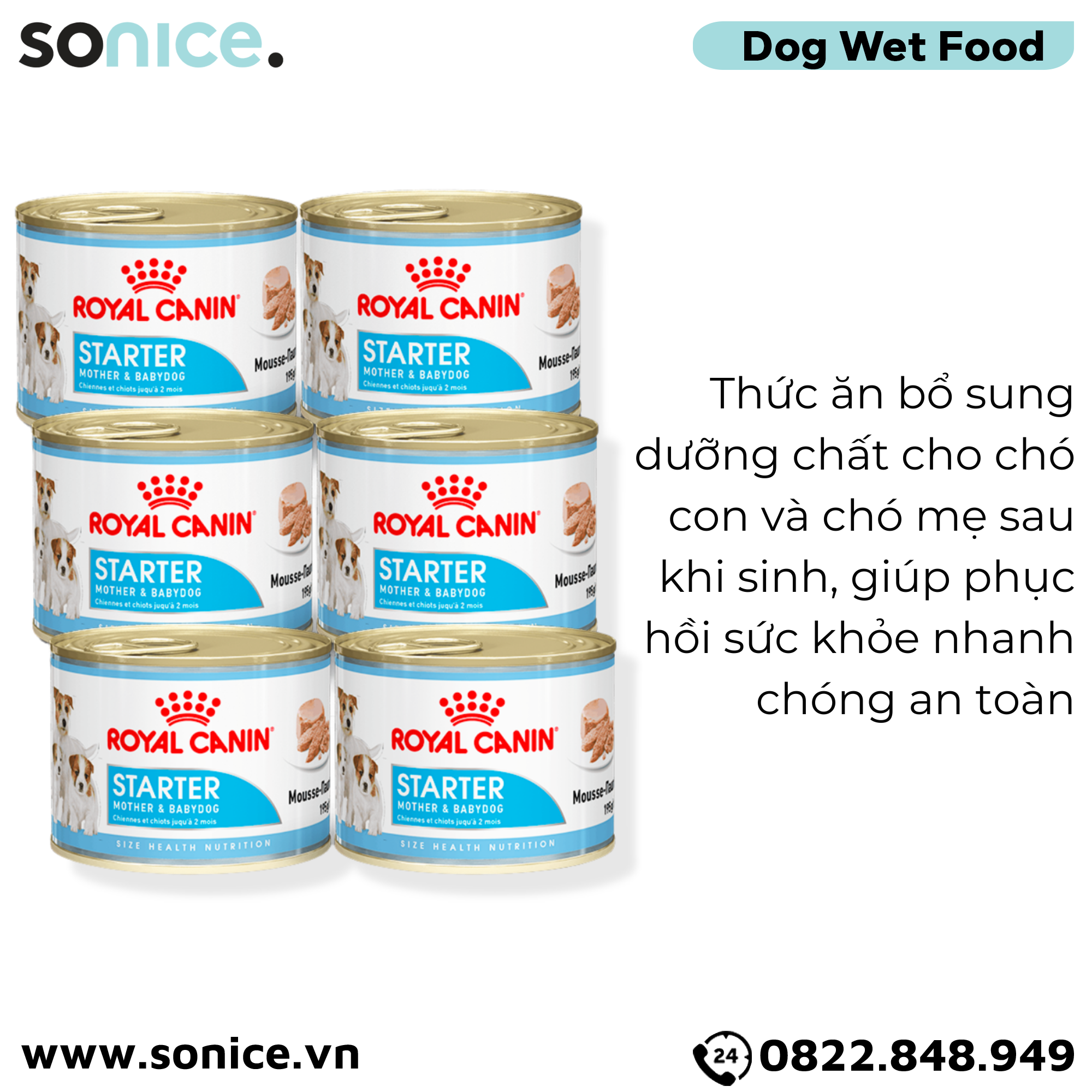  Combo Pate chó Royal Canin Mini Starter Mother & BabyDog 195g - 24 lon - Chó mẹ mang thai & chó con < 2 tháng SONICE. 