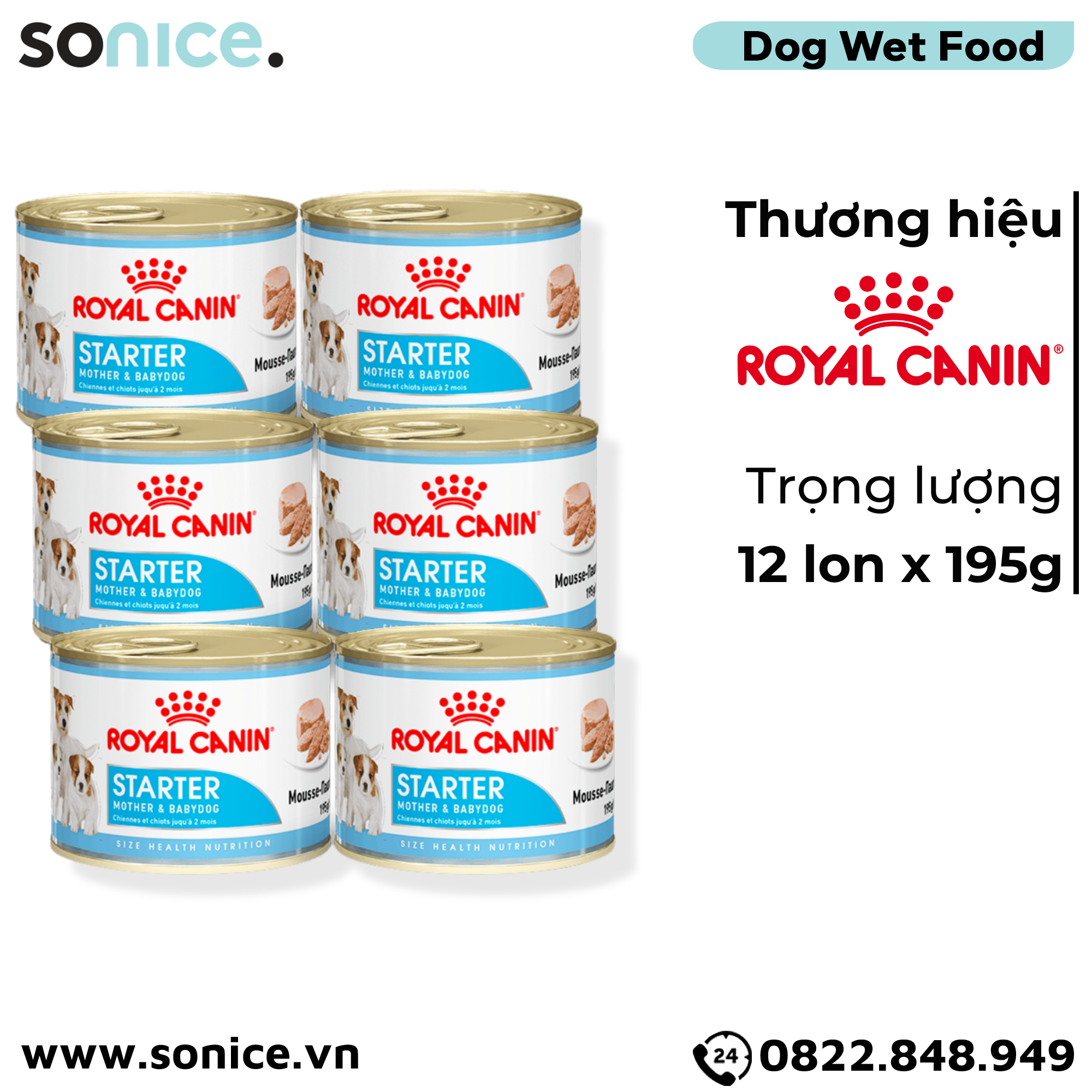  Combo Pate chó Royal Canin Mini Starter Mother & BabyDog 195g - 12 lon - Chó mẹ mang thai & chó con < 2 tháng SONICE. 