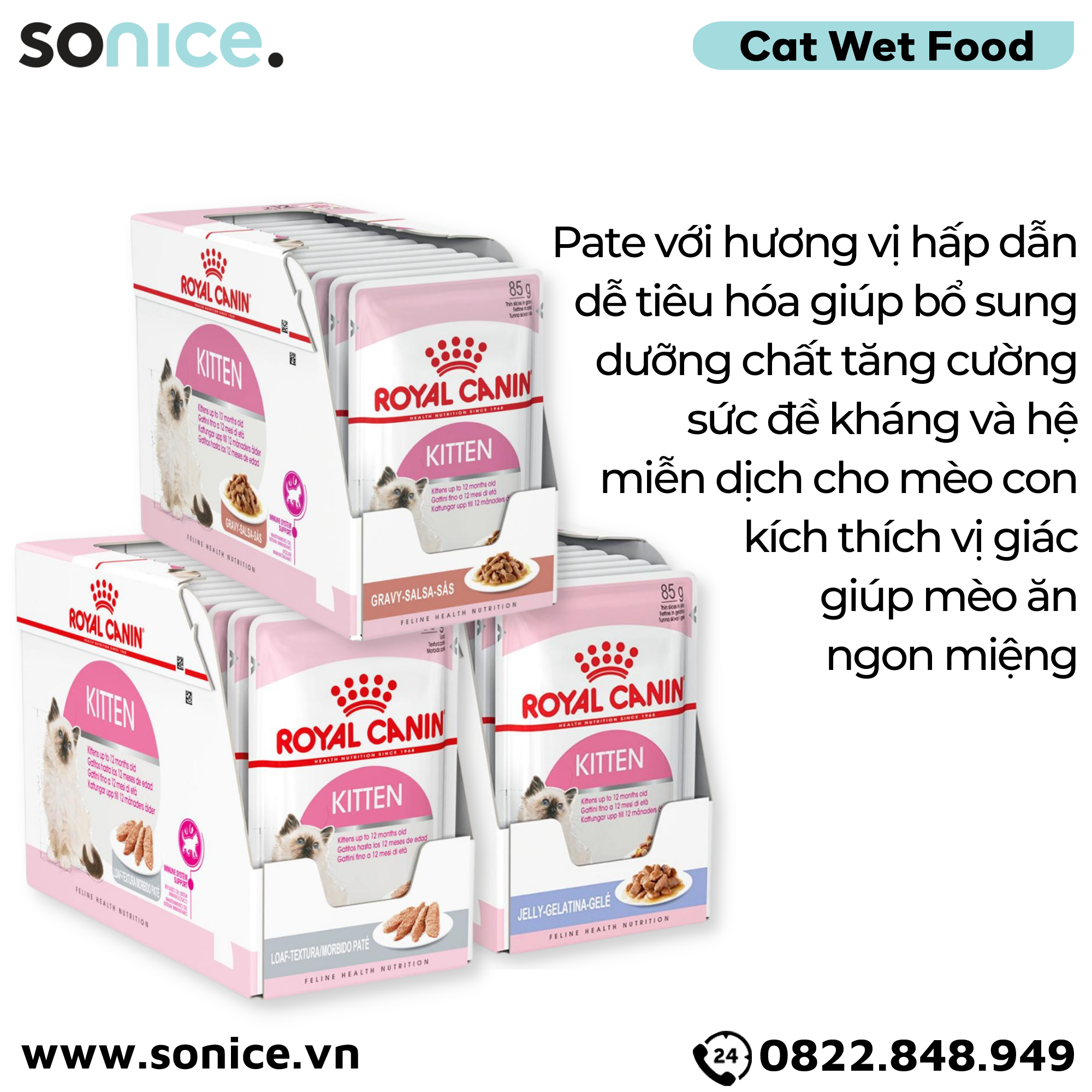 Combo Pate mèo Royal Canin Kitten Jelly, Gravy, Loaf - 36 gói SONICE.