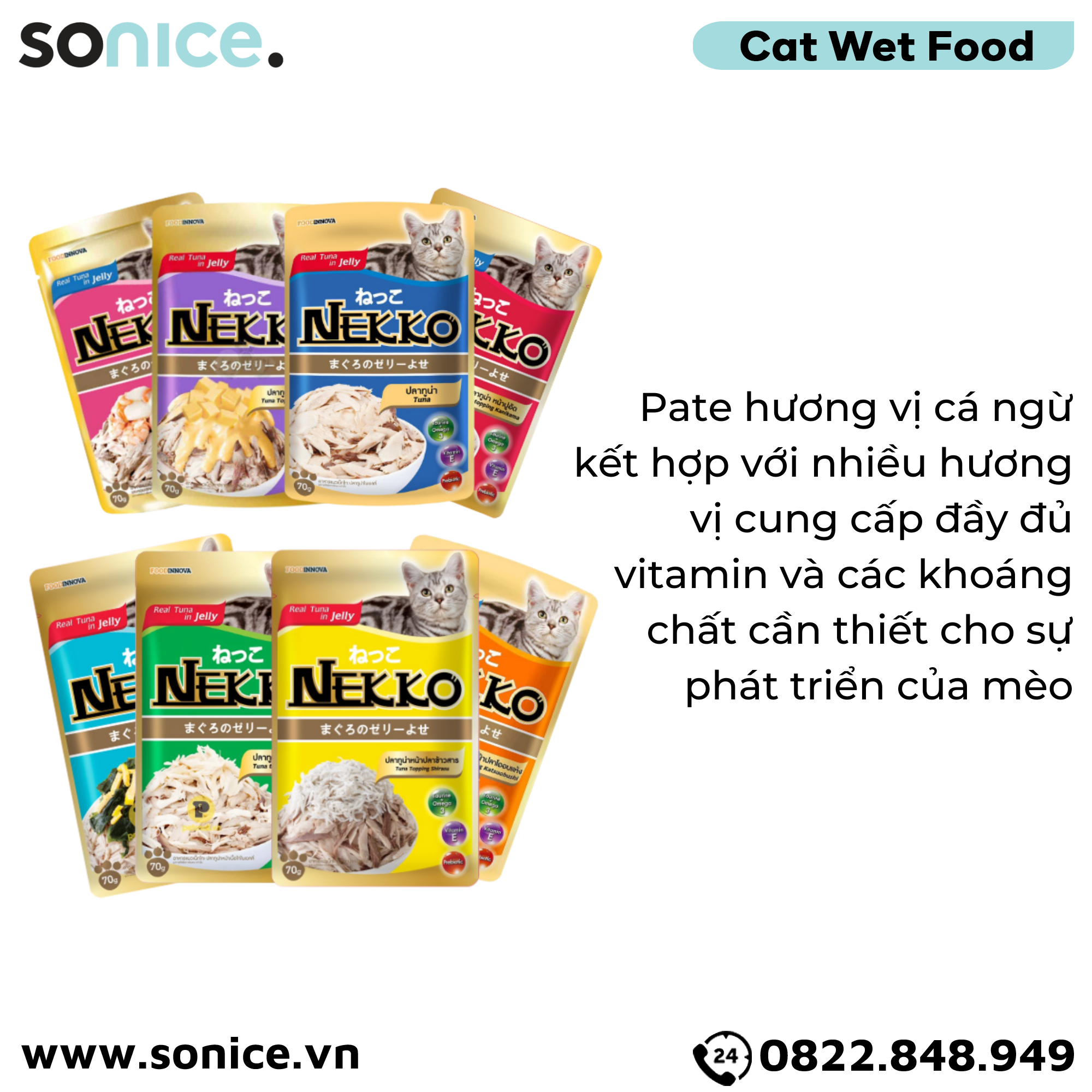Combo Pate mèo NEKKO Jelly - 48 gói SONICE.