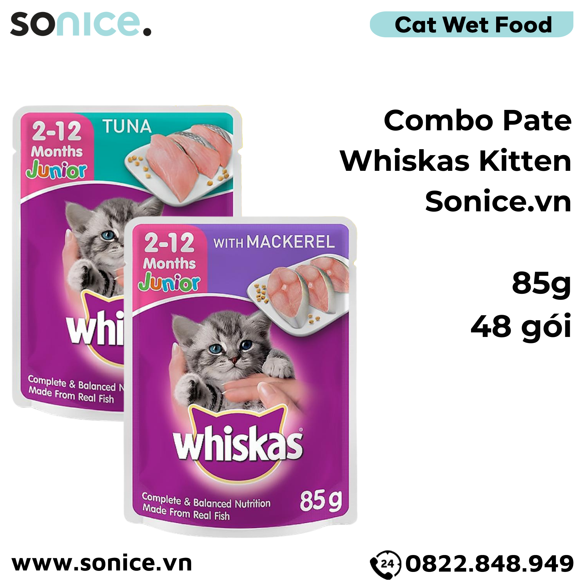 Combo Pate Mèo Whiskas Kitten 85g - 48 gói SONICE.