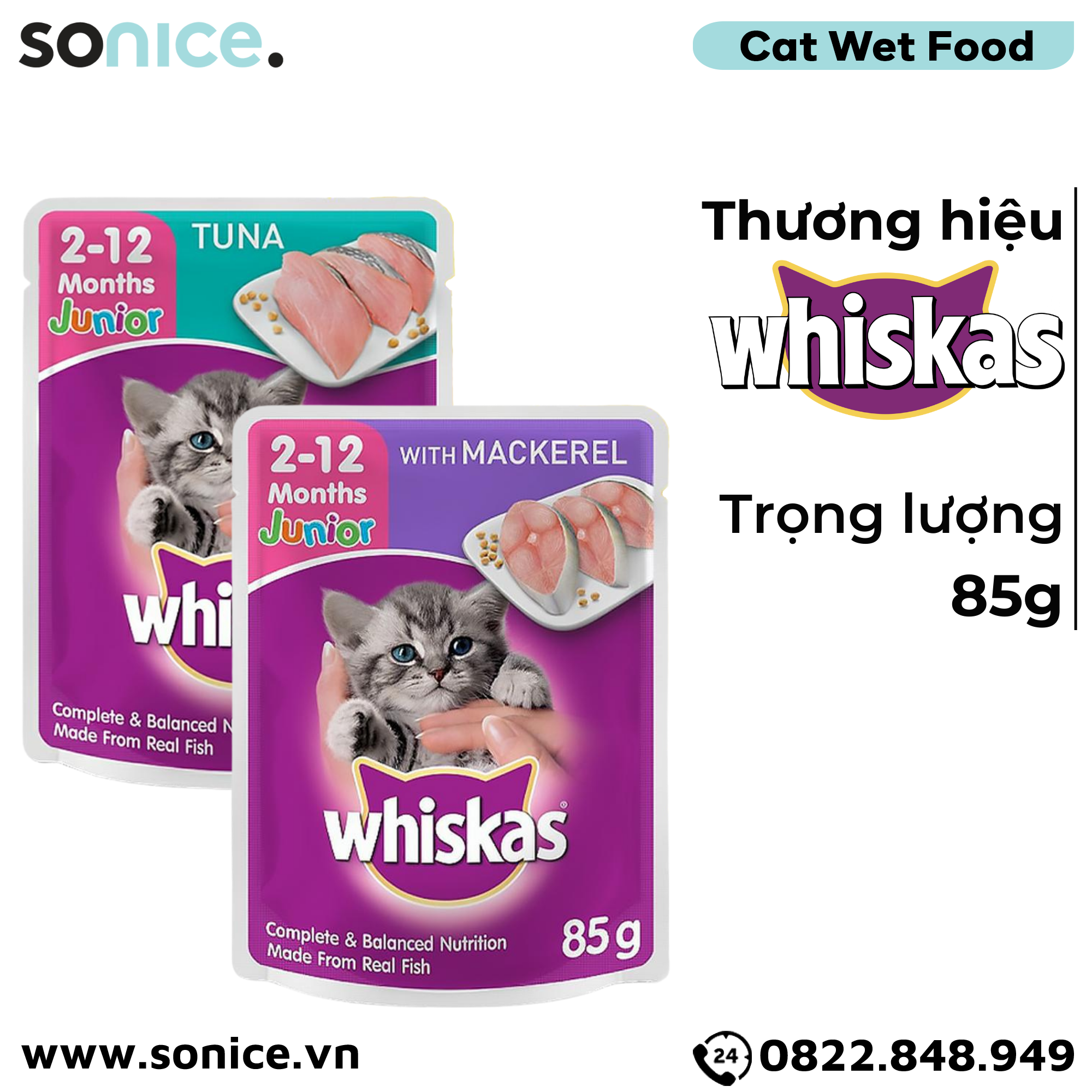 Combo Pate Mèo Whiskas Kitten 85g - 48 gói SONICE.