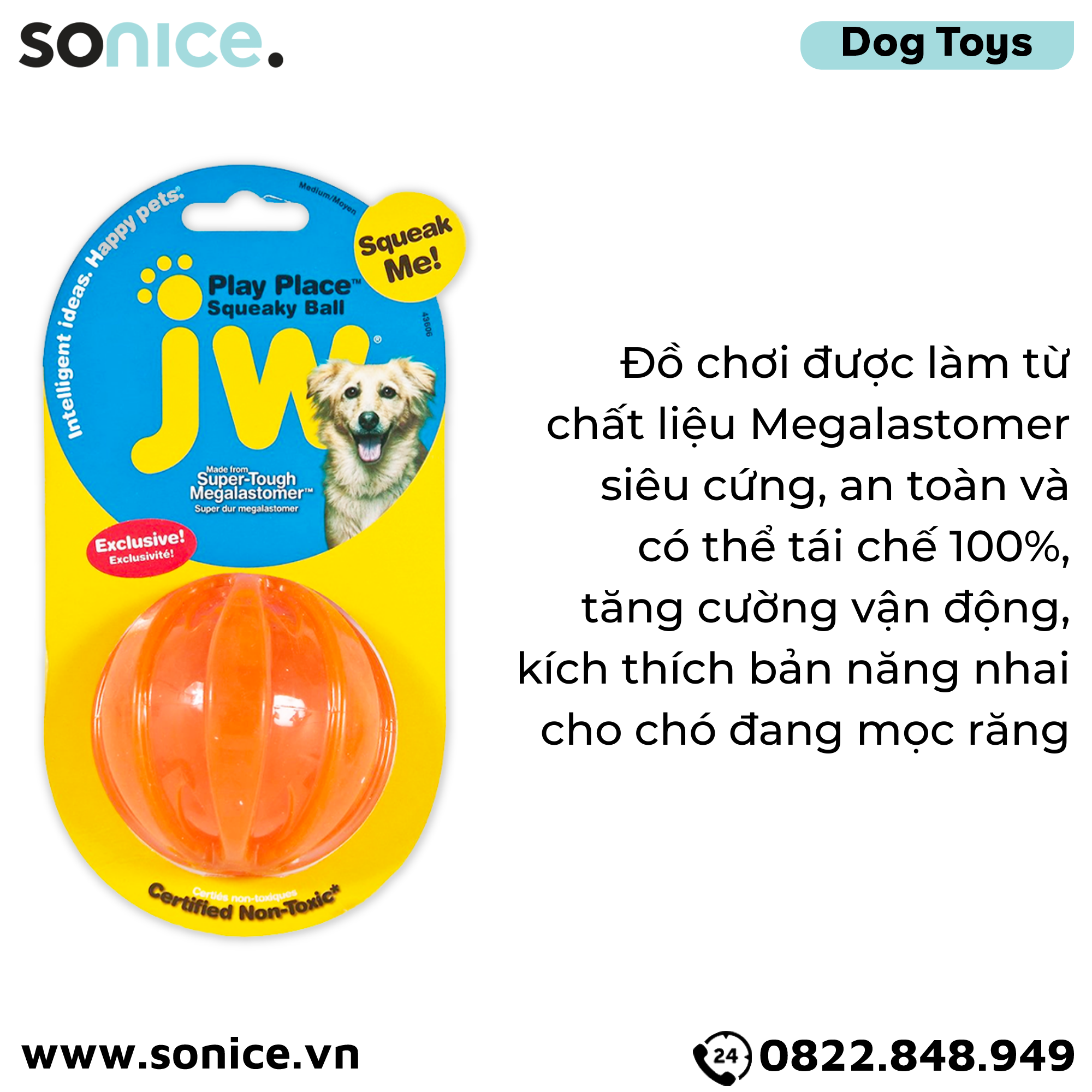 Đồ chơi JW Play Place Squeaky Ball for Dogs Medium Size - Hỗ trợ vận động cho chó SONICE.
