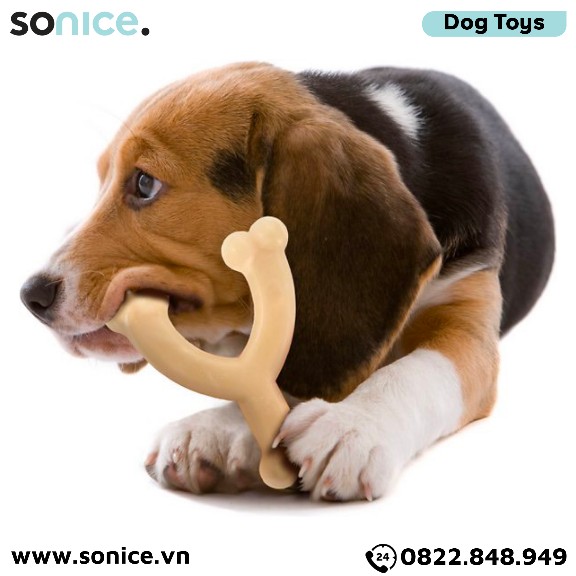 Đồ chơi Nylabone Power Chew Original Flavor Toys Medium Size - Vị nguyên bản, cho chó < 16kg SONICE.