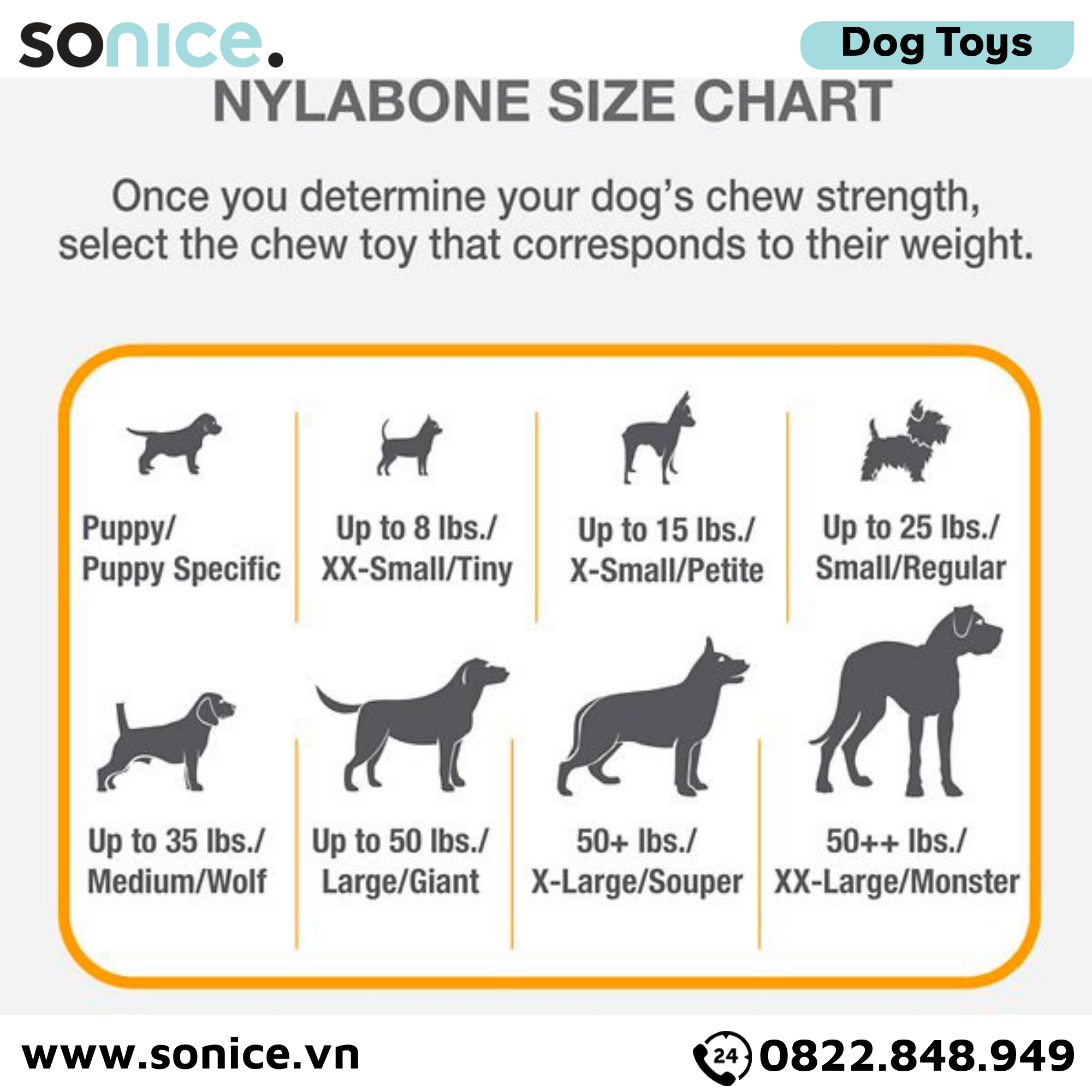 Đồ chơi Nylabone Puppy Chew Starter Kit Chicken Flavor Toys - vị Gà, dành cho chó nhỏ trong giai đoạn phát triển SONICE.