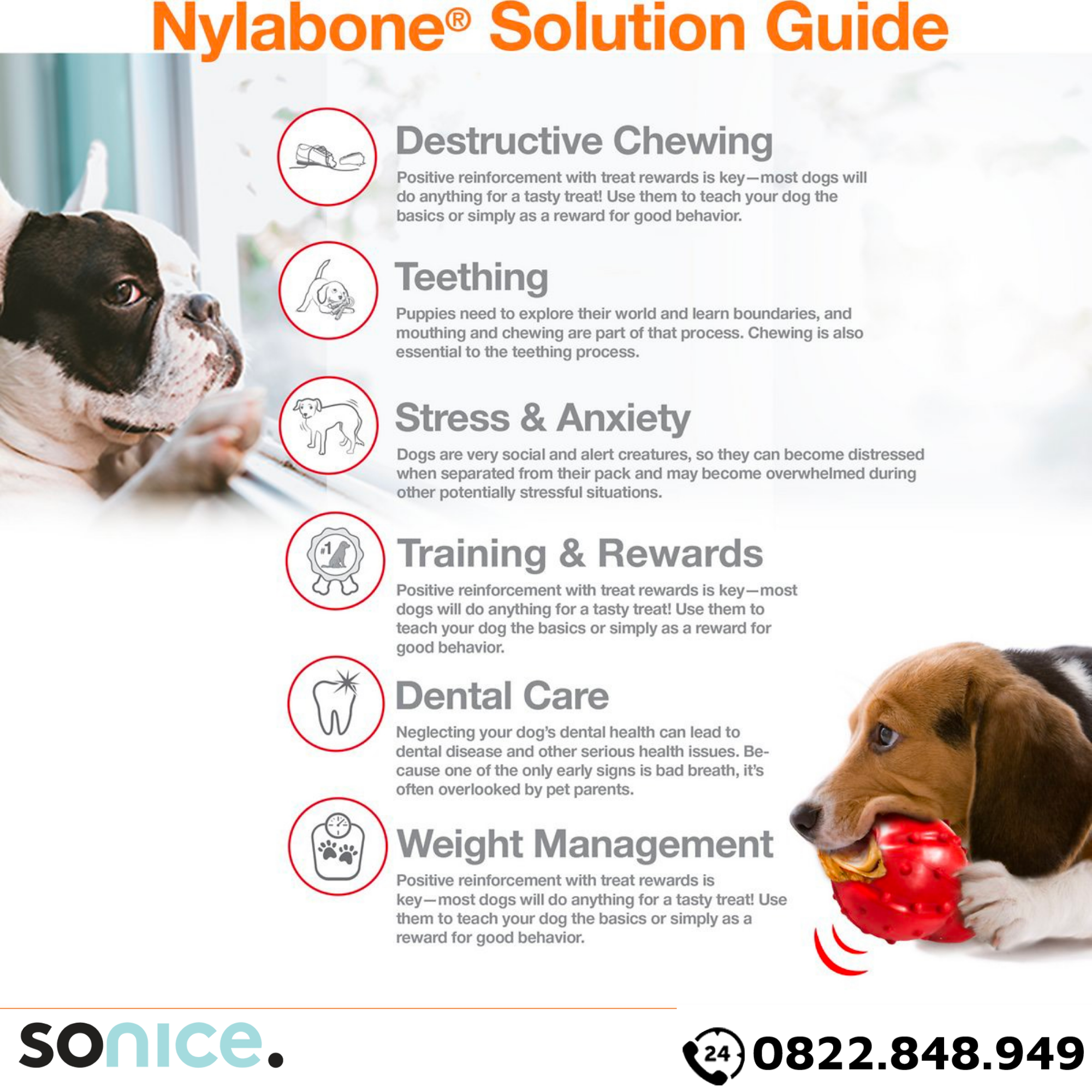 Đồ chơi Nylabone Dental Teething & Active Chewing Bacon Flavor Toys - Vị thịt xông khói, cho chó < 11kg SONICE.