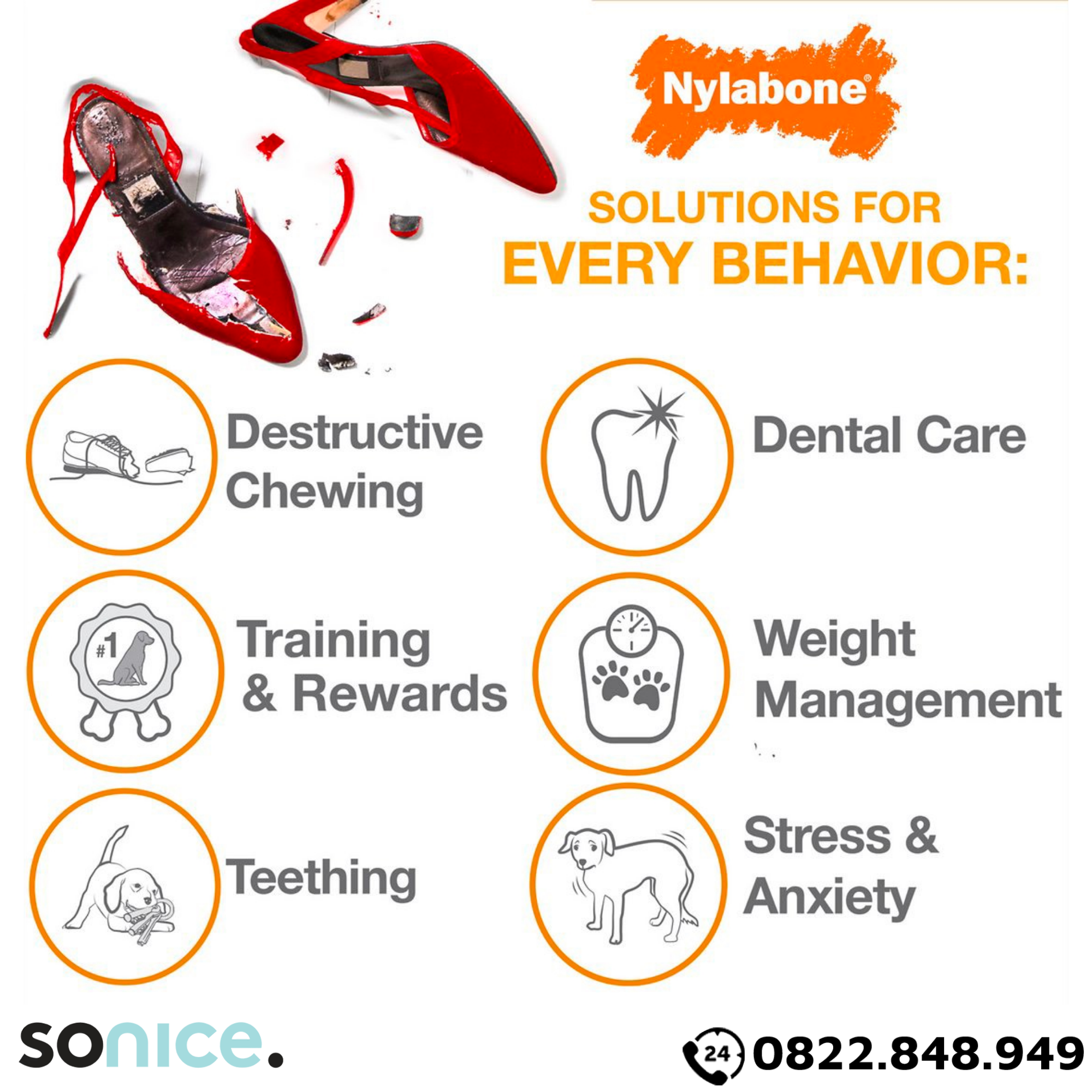 Đồ chơi Nylabone Dental Chews Plaque & Tartar Bacon Flavor Toys Small Size - Vị thịt xông khói, cho chó < 11kg SONICE.