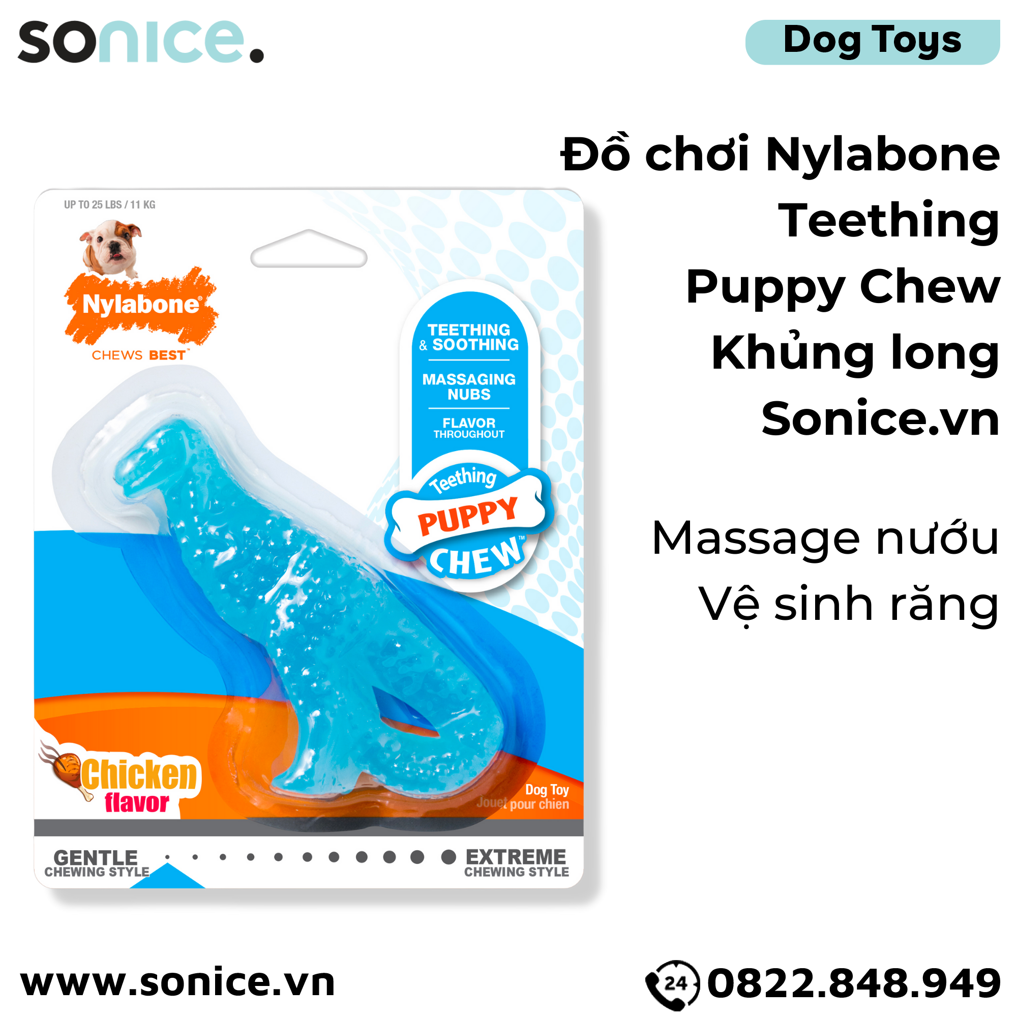 Đồ chơi Nylabone Teething Puppy Chew Toys - Con khủng long massage nướu, vệ sinh răng SONICE.