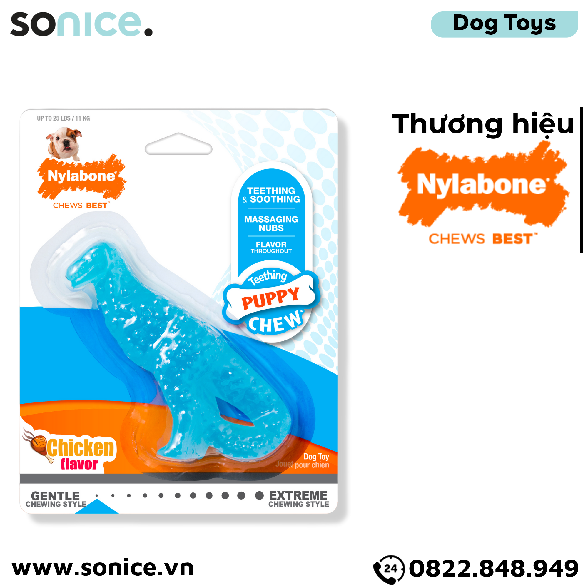 Đồ chơi Nylabone Teething Puppy Chew Toys - Con khủng long massage nướu, vệ sinh răng SONICE.