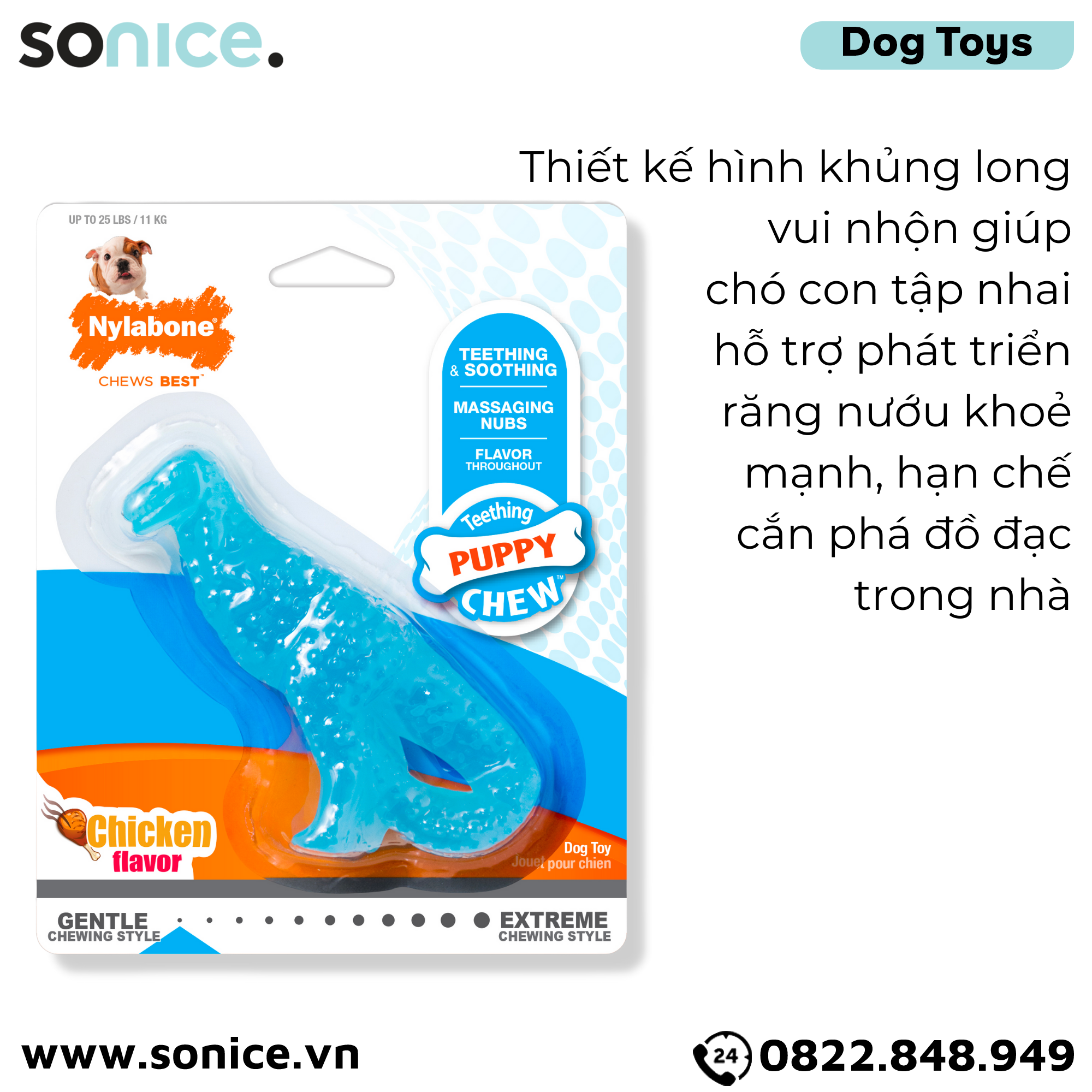 Đồ chơi Nylabone Teething Puppy Chew Toys - Con khủng long massage nướu, vệ sinh răng SONICE.