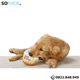  Đồ chơi Frisco Plush Birthday Cupcake with Squeaker Dog Toy - Bánh cupcake SONICE. 