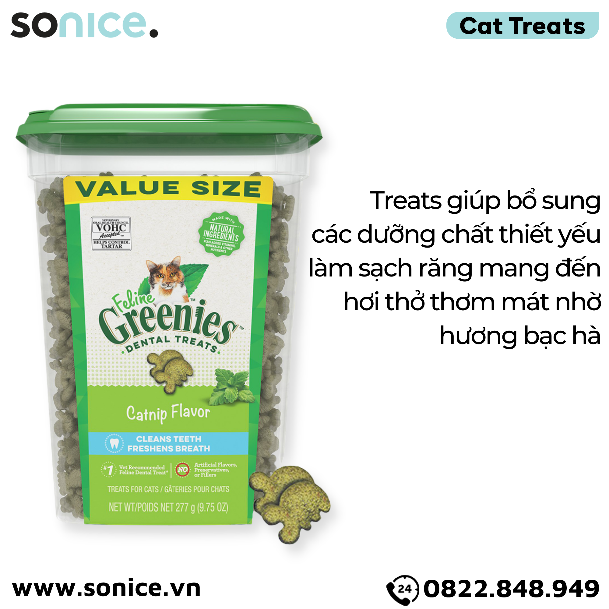 Treats mèo Greenies Catnip 277g - vị cỏ bạc hà cat treats SONICE.