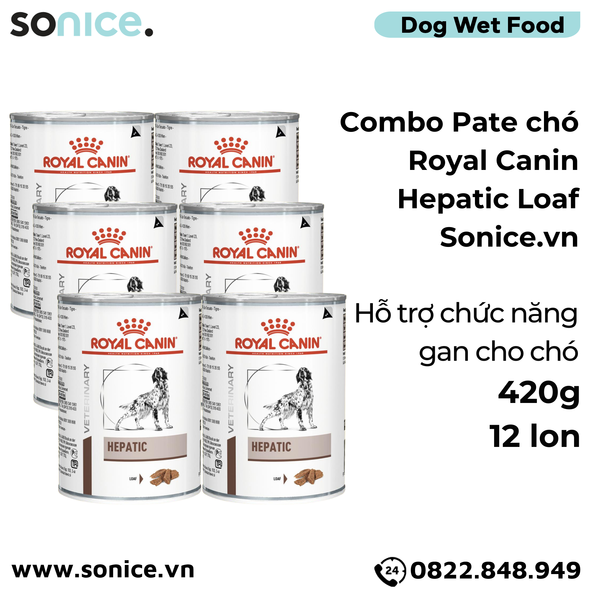  Combo Pate chó Royal Canin Hepatic Loaf 420g - 12 lon - Hỗ trợ chức năng gan SONICE. 