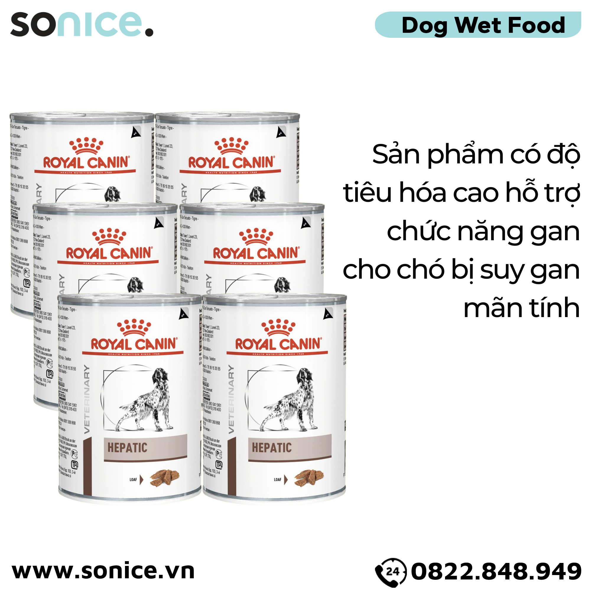  Combo Pate chó Royal Canin Hepatic Loaf 420g - 12 lon - Hỗ trợ chức năng gan SONICE. 