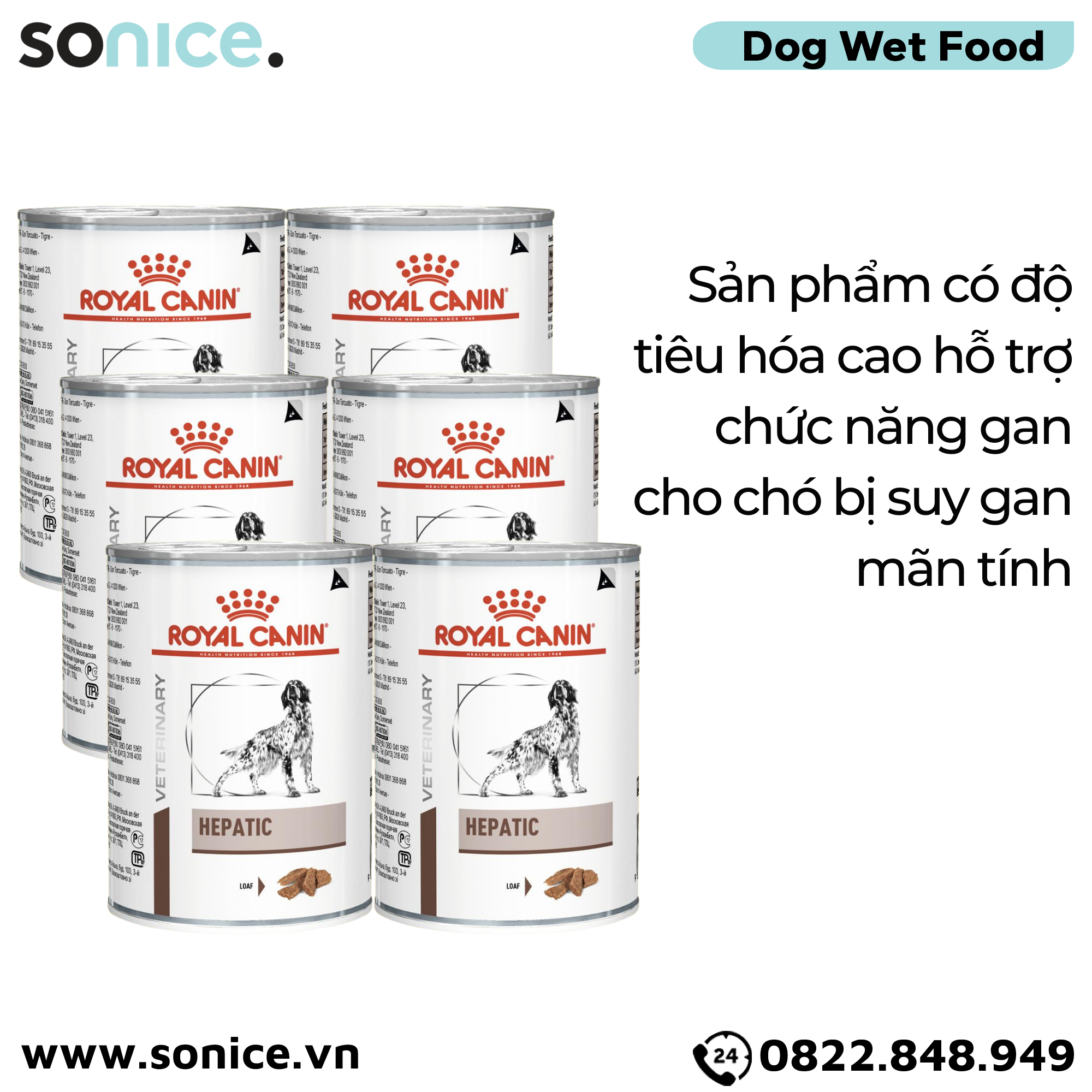  Combo Pate chó Royal Canin Hepatic Loaf 420g - 6 lon - Hỗ trợ chức năng gan SONICE. 