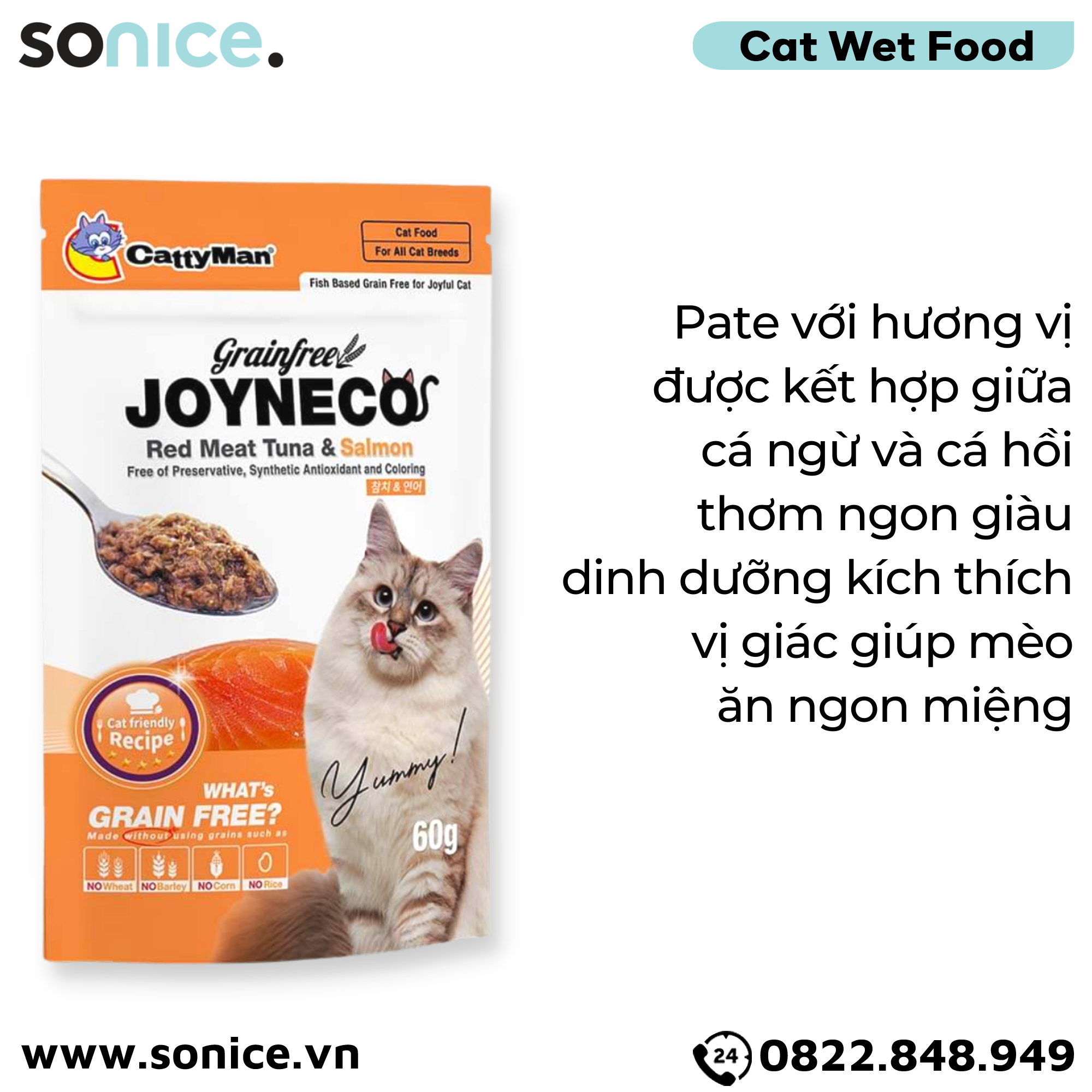 Pate mèo JOYNECO vị Cá Ngừ & Cá Hồi 60g - hộp 12 gói SONICE.