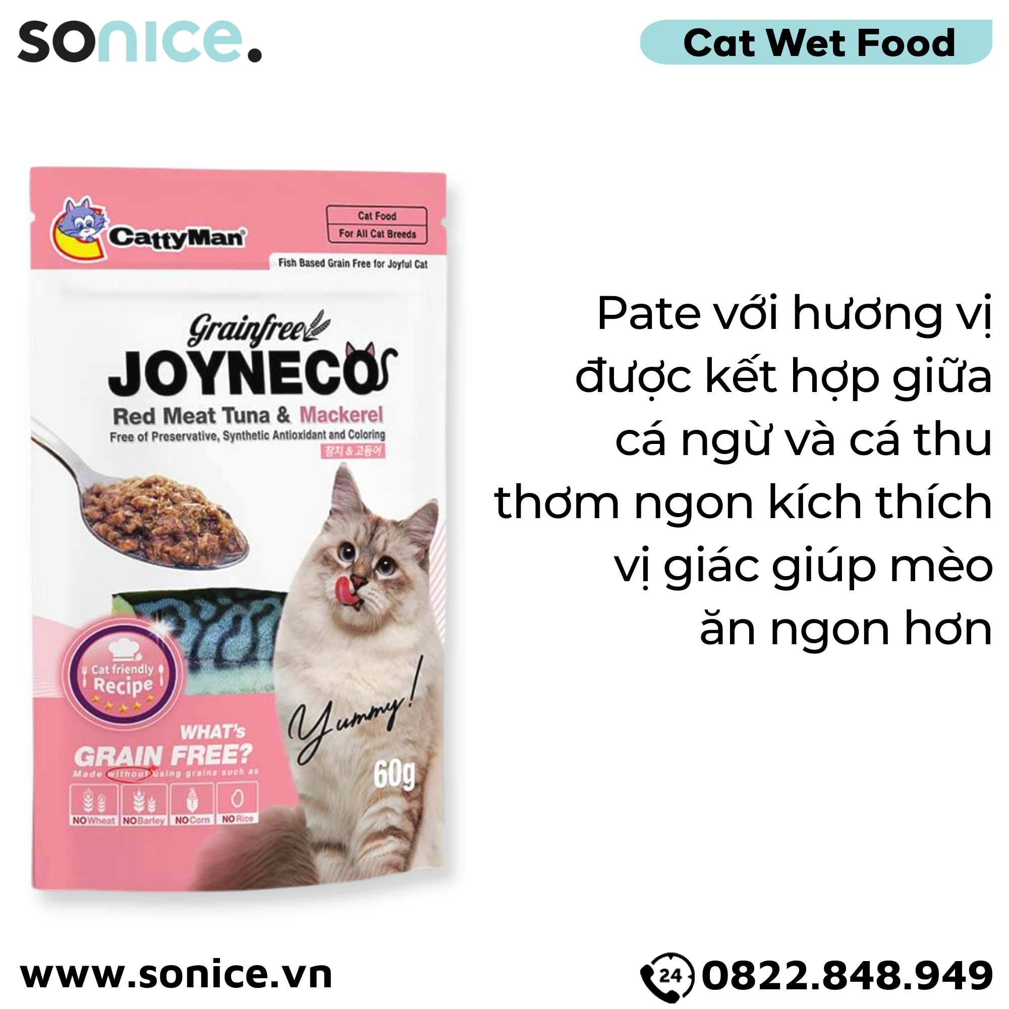  Pate mèo JOYNECO vị Cá Ngừ & Cá Thu 60g - hộp 12 gói SONICE. 