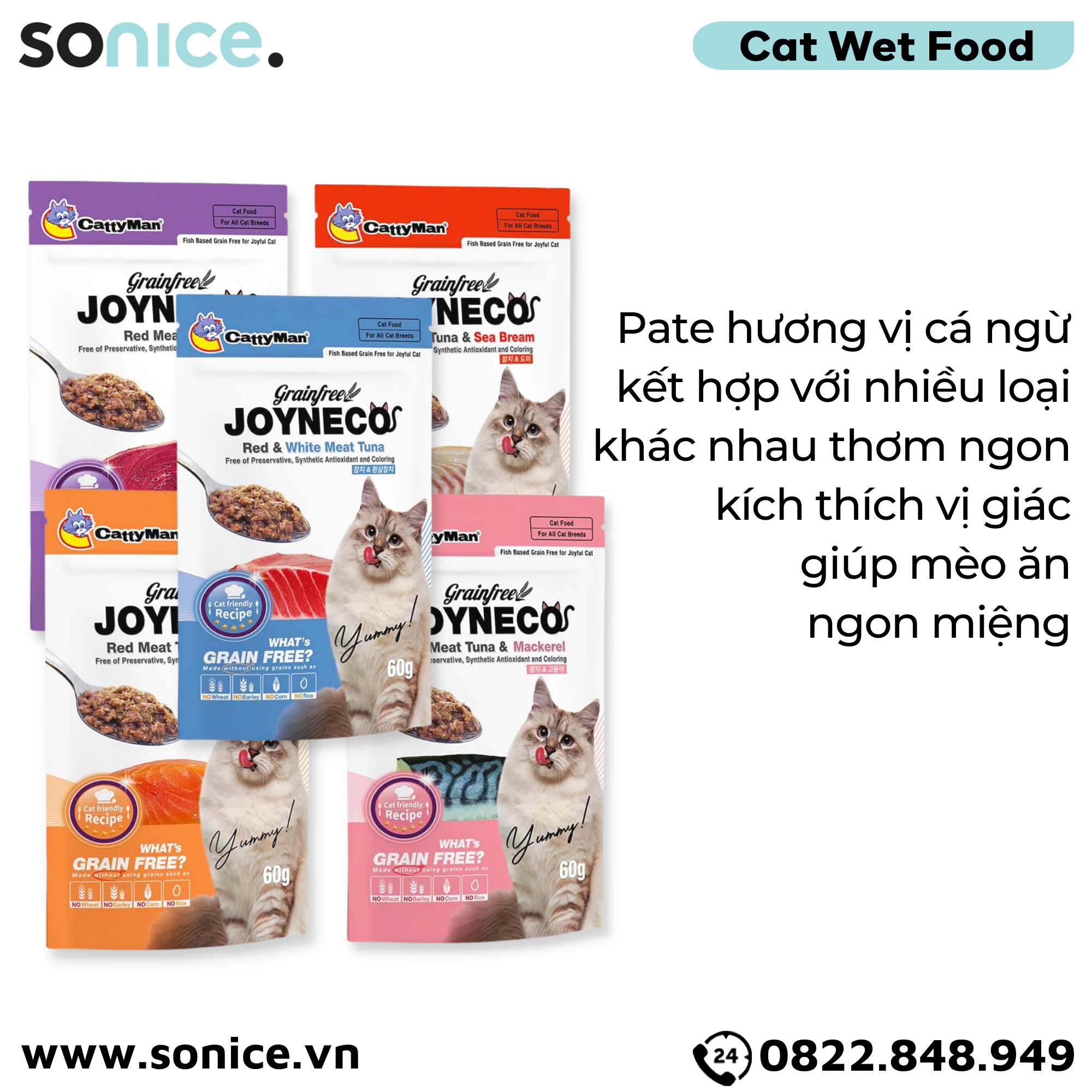 Combo Pate mèo JOYNECO Tuna 60g - 24 gói SONICE.
