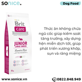  Thức ăn chó Brit Care Prevention by Nutrition Large Puppy Lamb & Rice Hypoallergenic 12kg - Hỗ trợ dị ứng, vị Cừu và Gạo SONICE. 