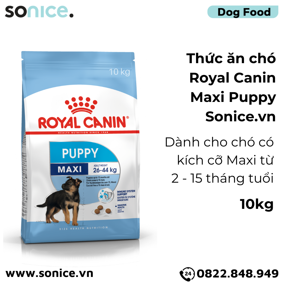 Thức ăn Chó Royal Canin MAXI PUPPY 10kg SONICE.