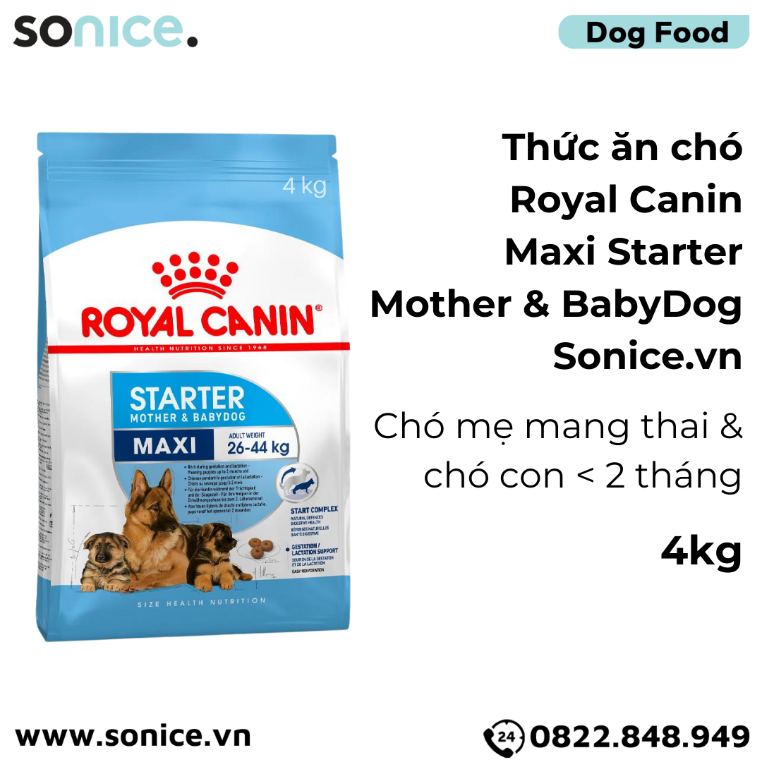 Thức ăn chó Royal Canin Maxi Starter Mother & BabyDog 4kg - Chó mẹ mang thai & chó con < 2 tháng SONICE.